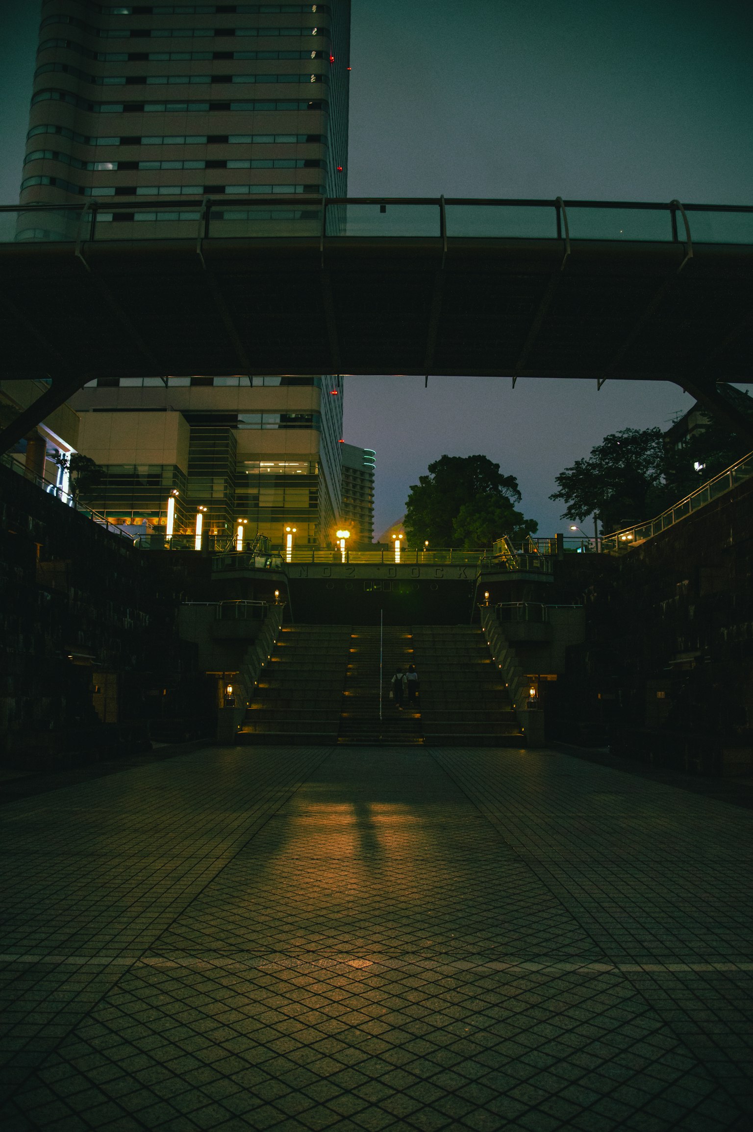 夜间城市景观在桥下有照明的楼梯和绿色植物