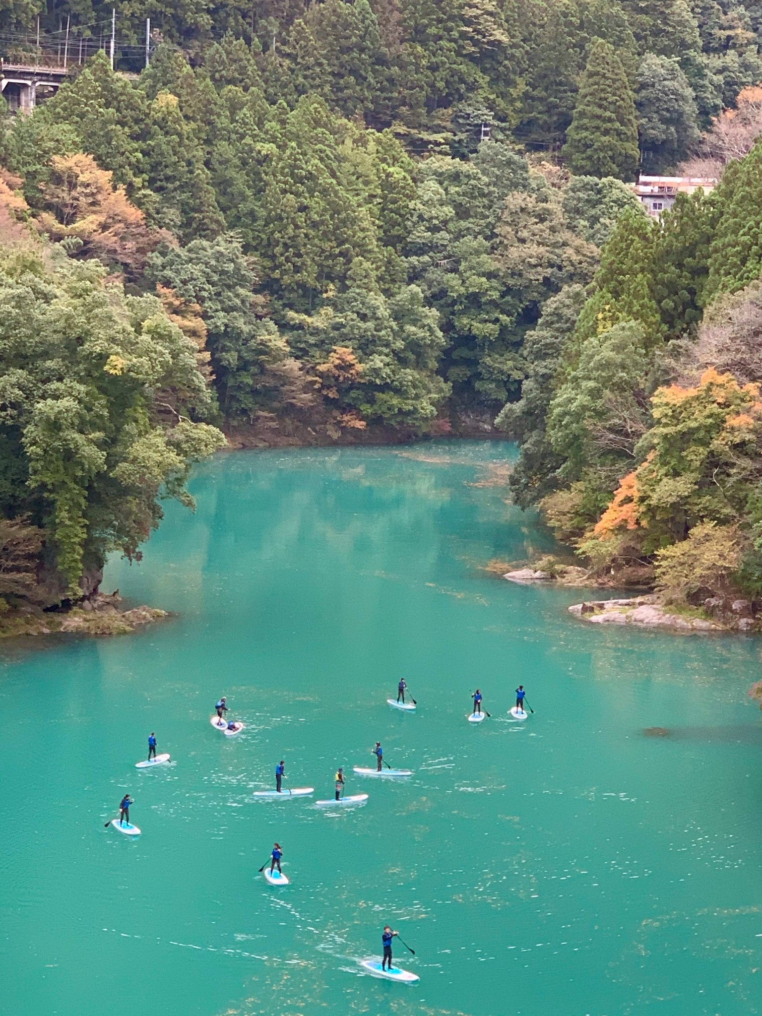 Group of stand-up paddleboarders on a turquoise lake surrounded by green trees