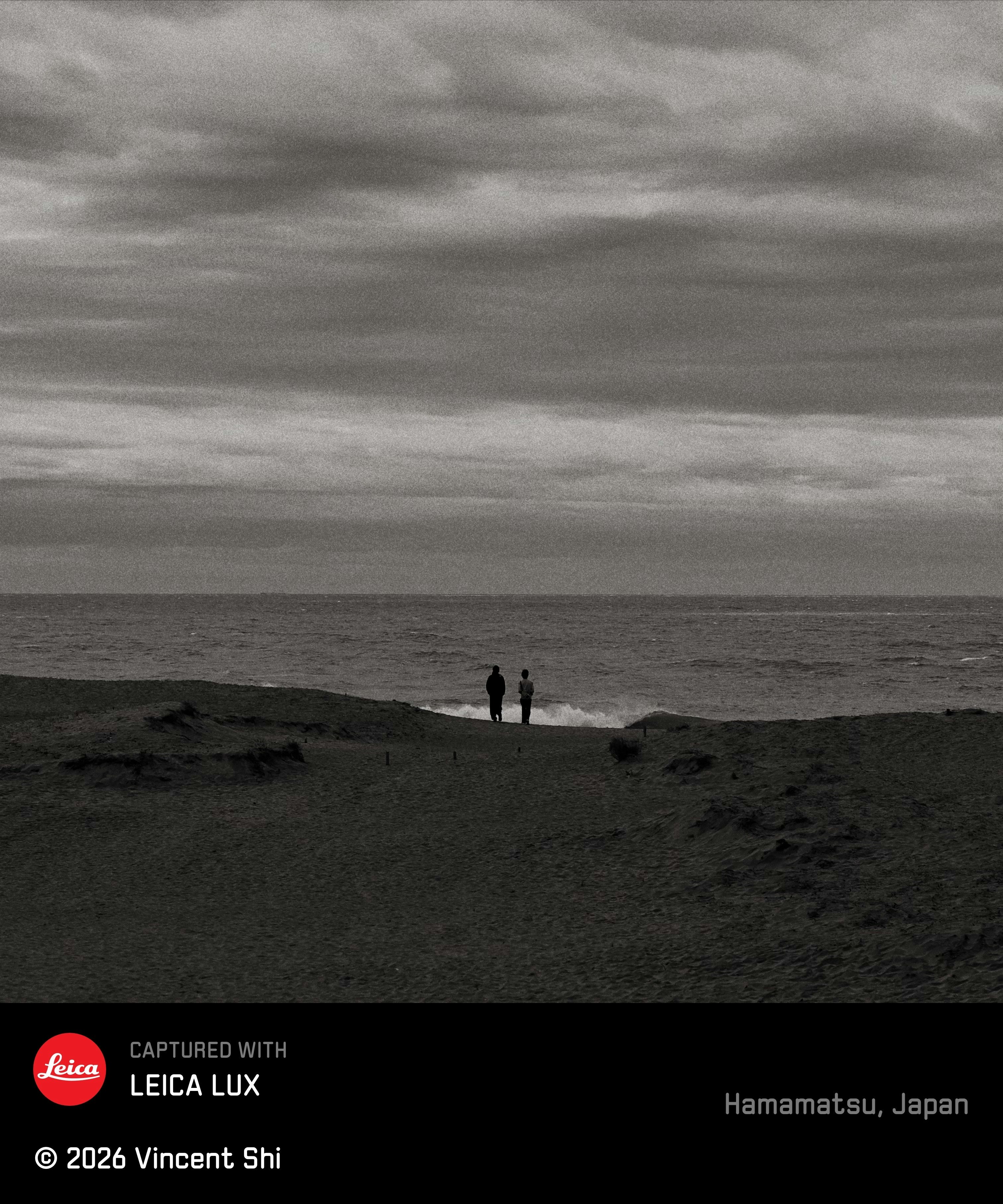 small figures on a dark sandy cliff overlooking a rough sea