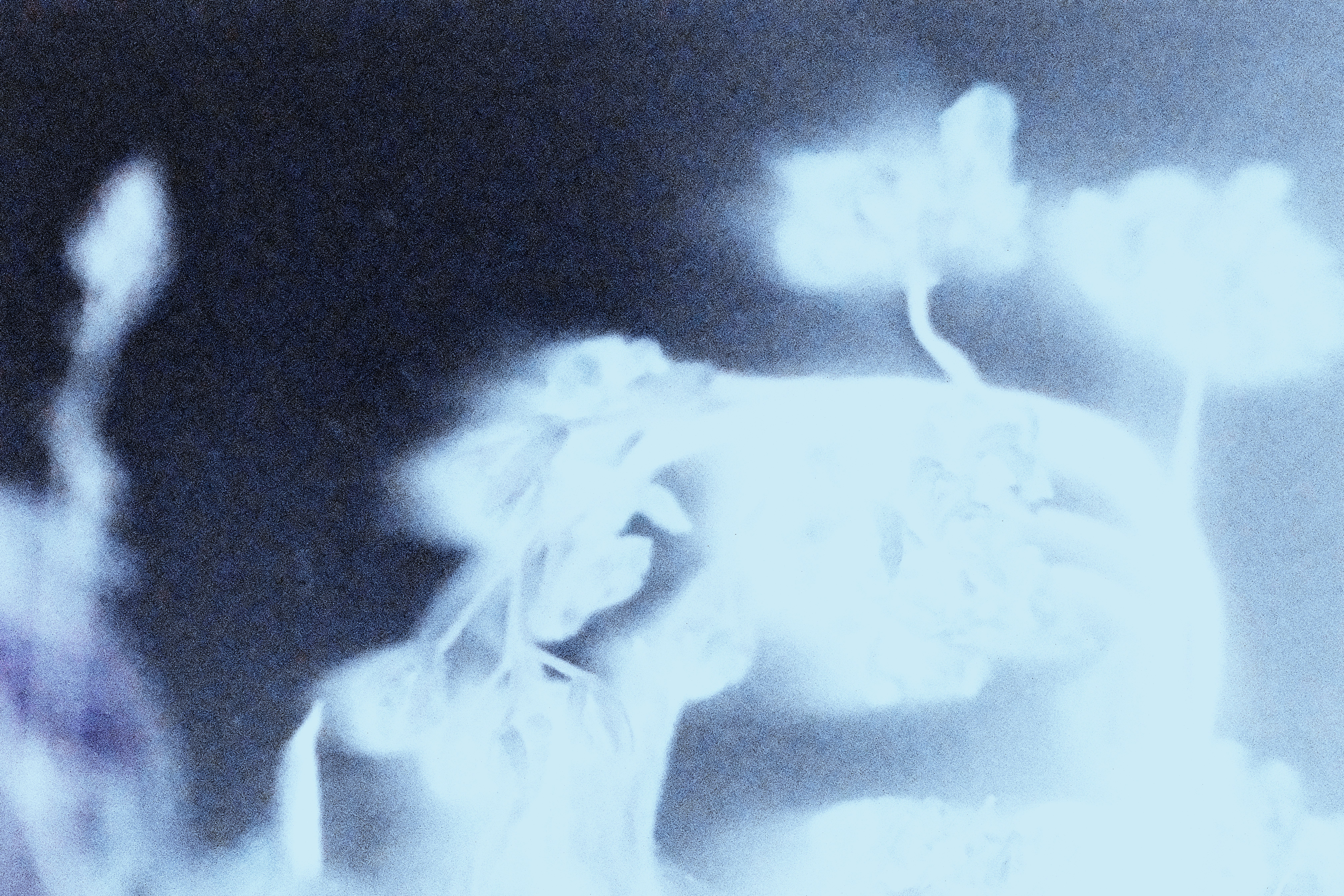 photo-yCwB96wcZ1FuZL8mO7xC