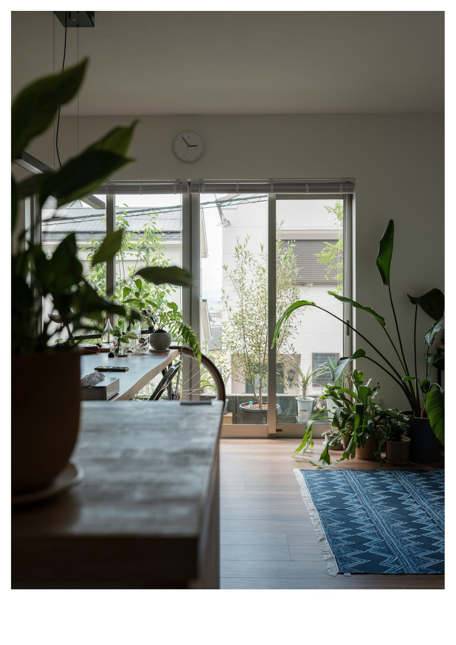 明亮的室内场景，桌子上有植物和大窗户