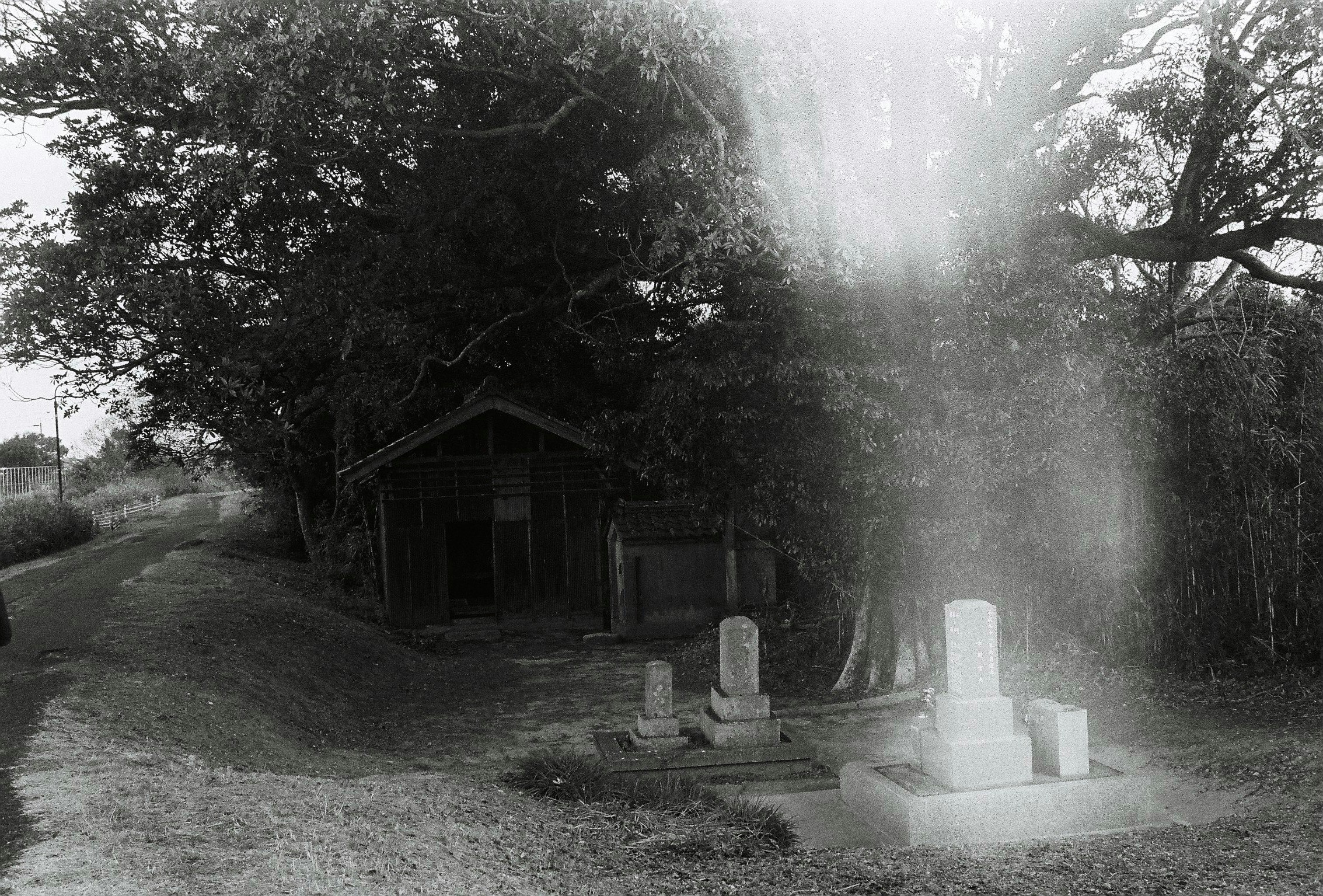 Un petit cimetière paisible avec des pierres tombales et des marqueurs en pierre parmi les arbres