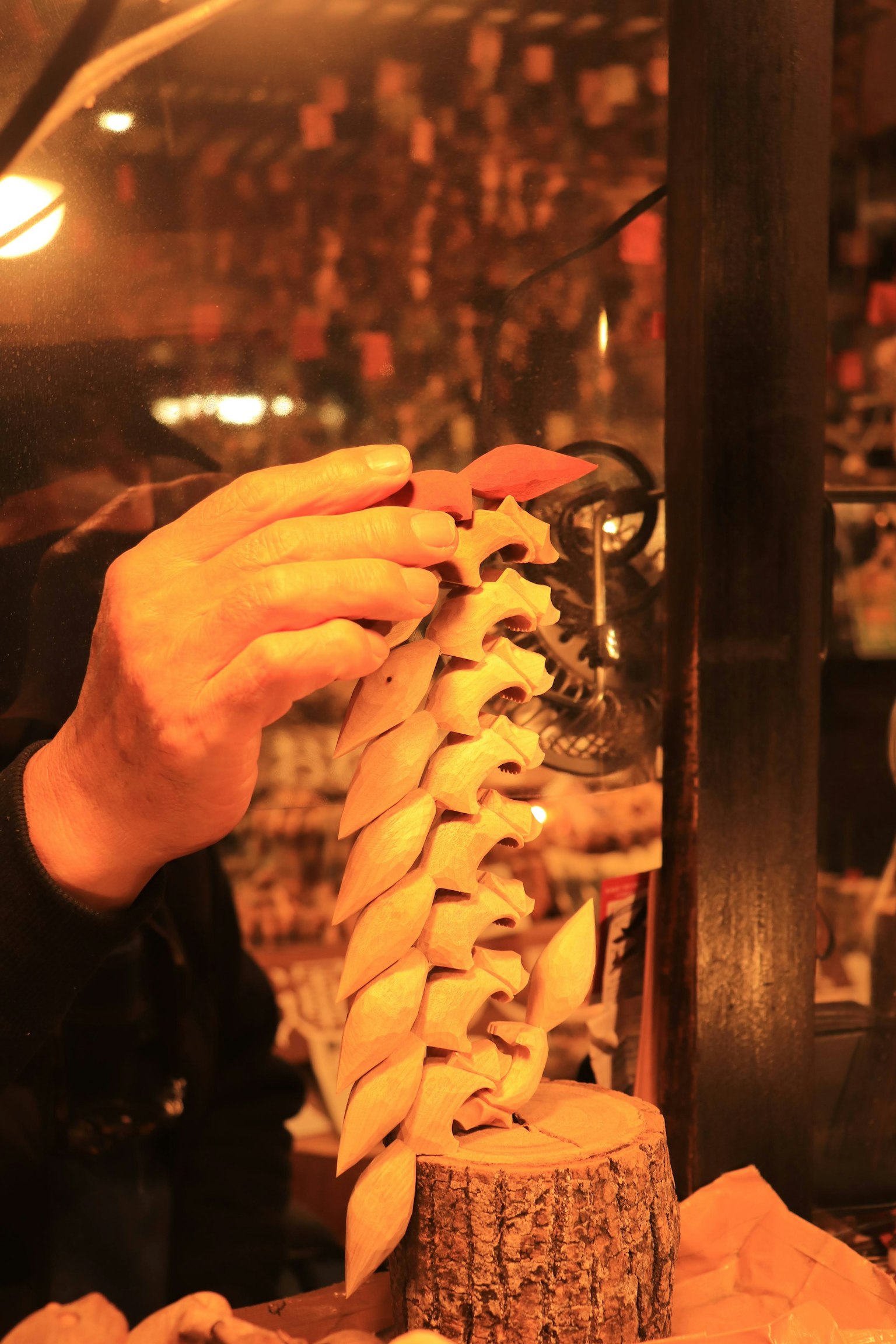 Eine Hand hält ein Knochenmodell, das auf einer Holzbasis platziert ist