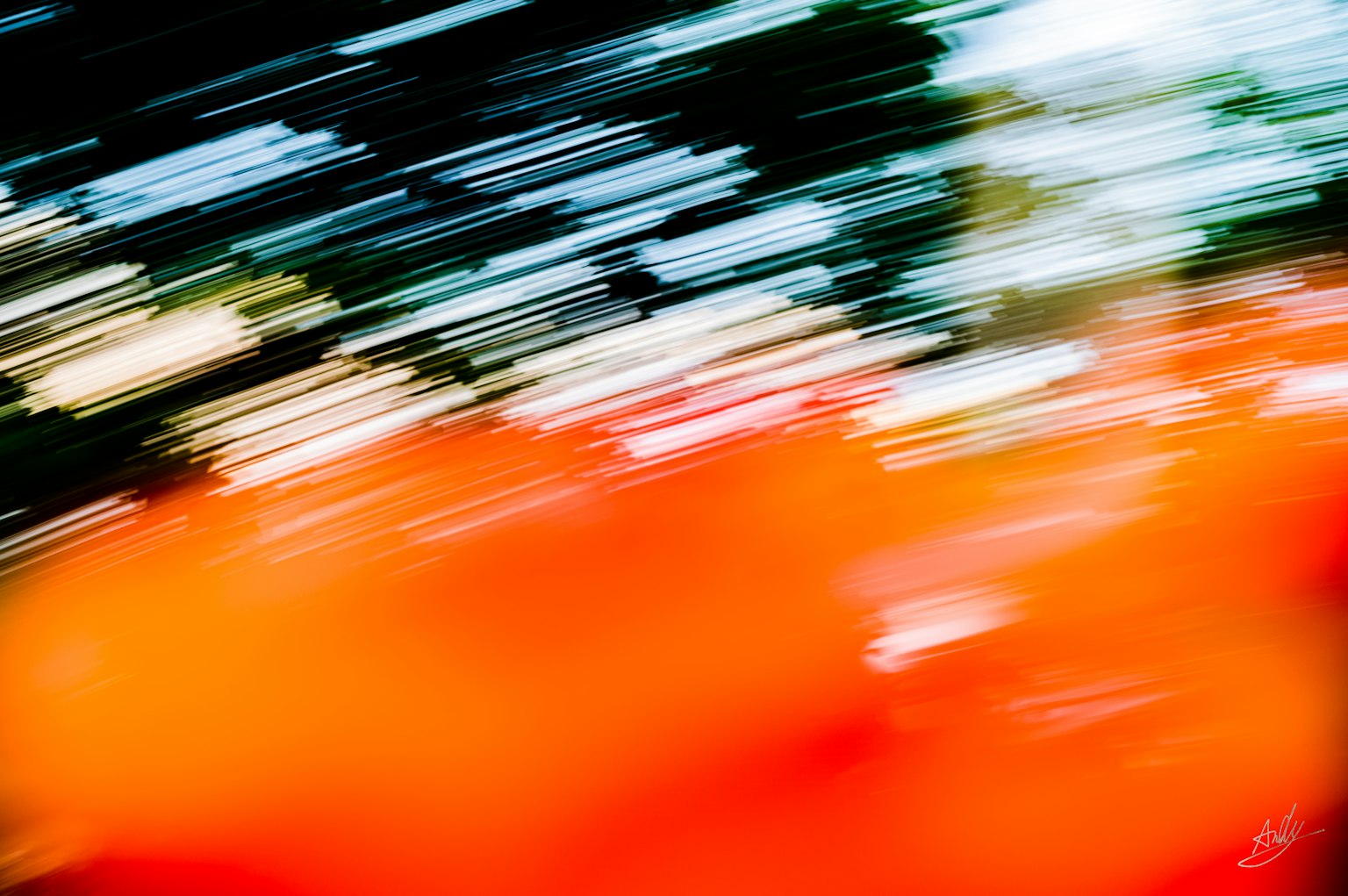 photo-yF6FQkCR2liPErB9oP44-image