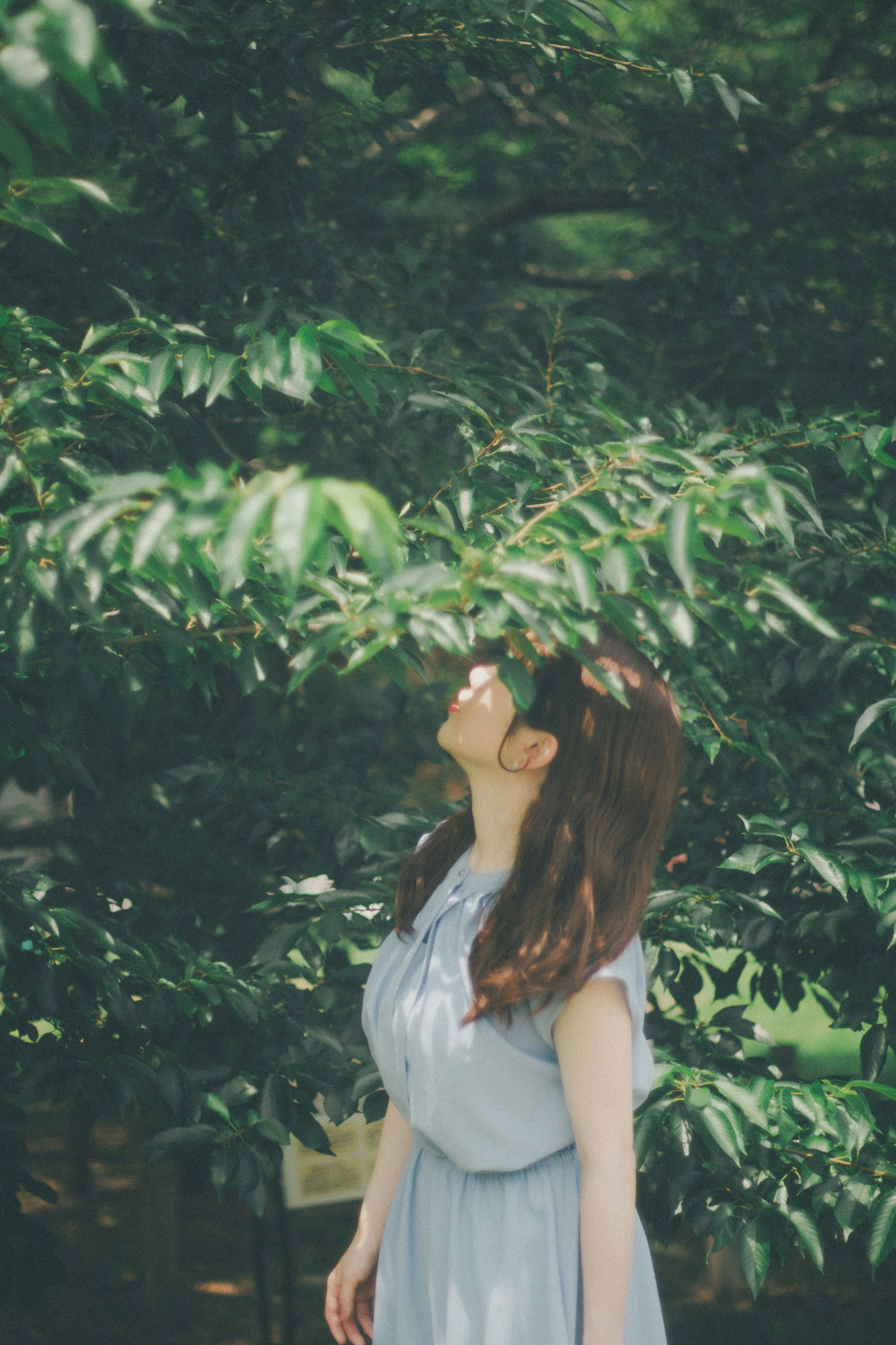 緑の木々に囲まれた庭で佇む女性