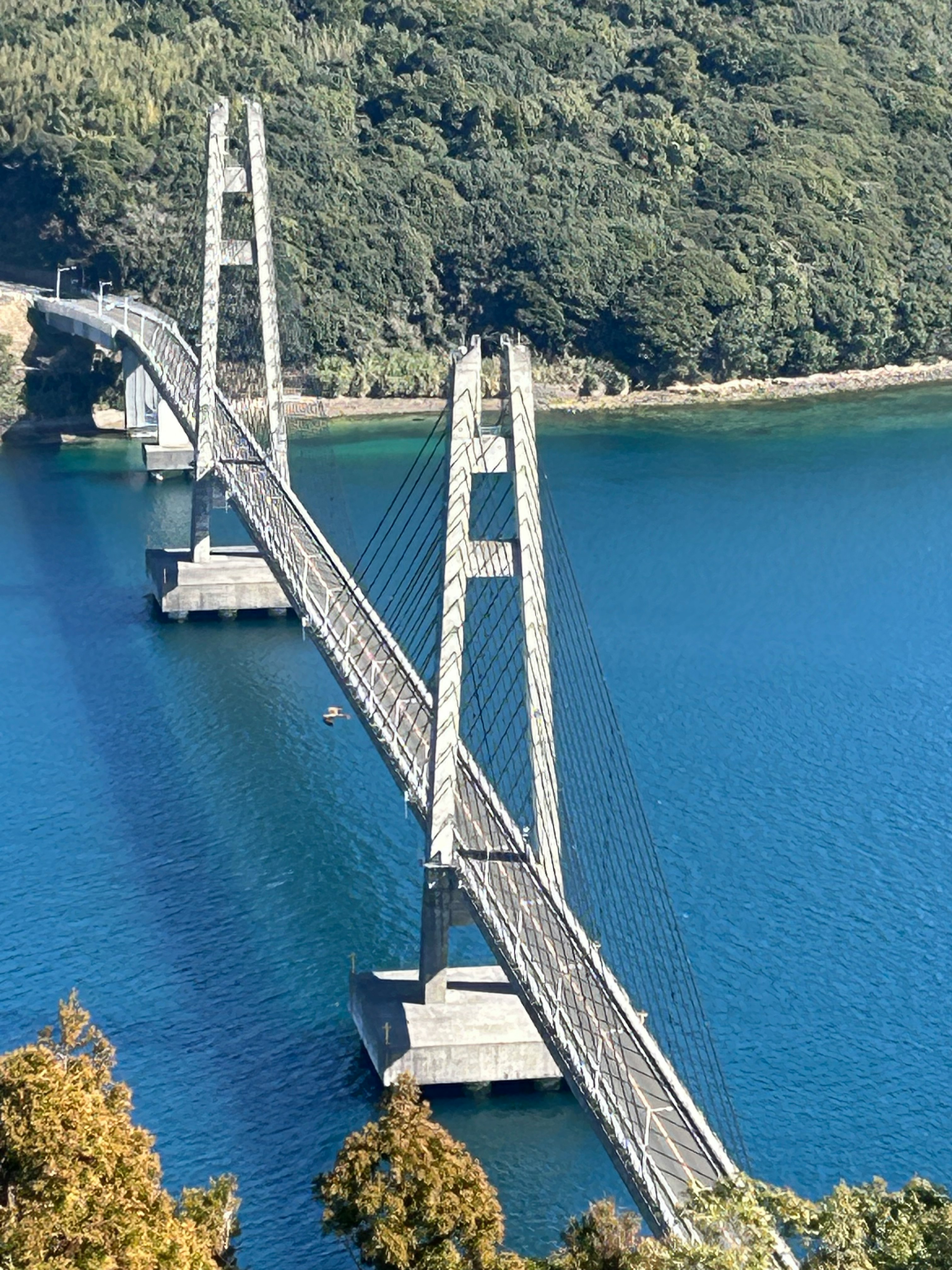 湖面上的吊桥与青翠山峦