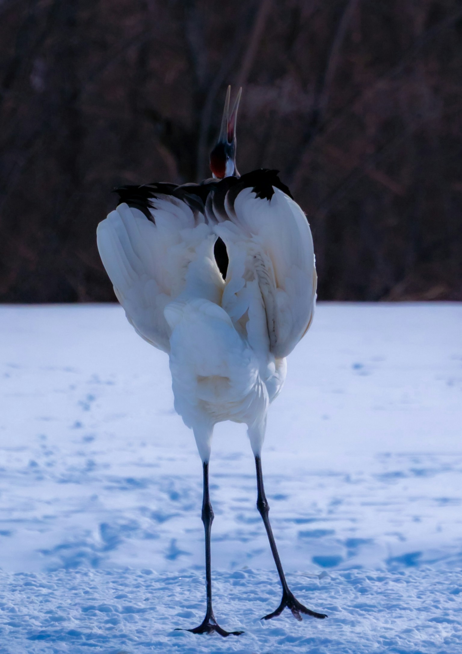 photo-yFyRWCHxCFDzkOWzZTtl-image