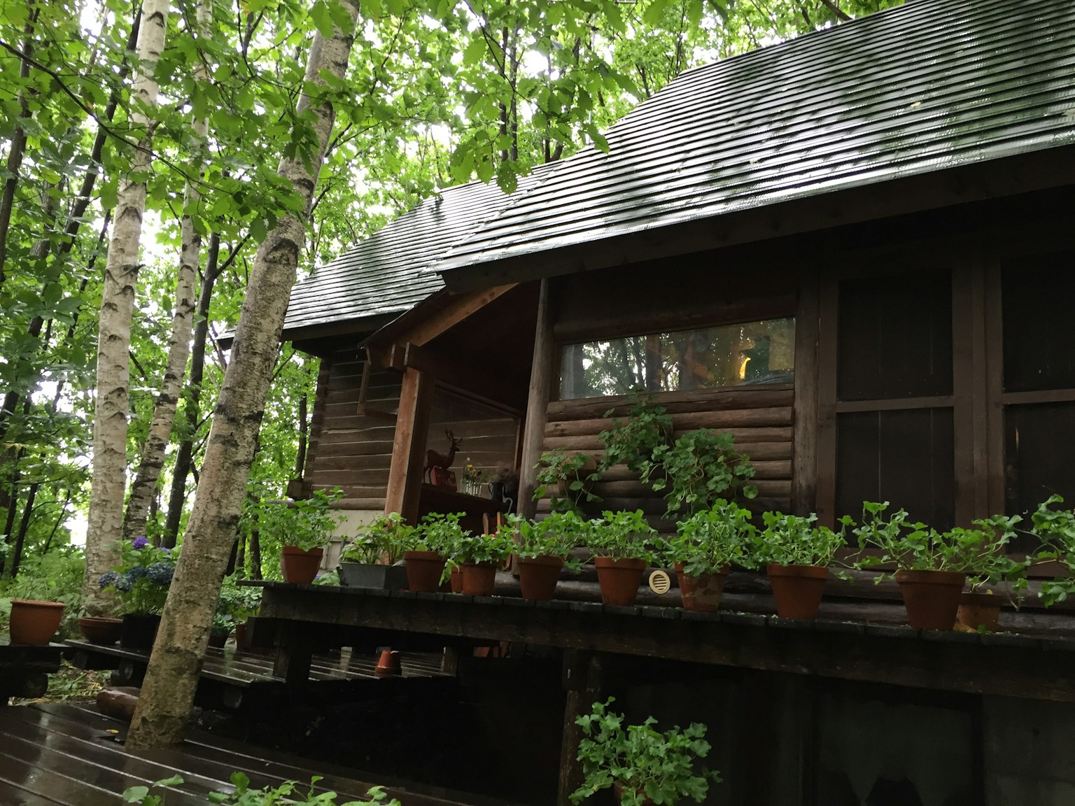 Una casa de madera situada en un bosque frondoso con plantas en macetas en la terraza