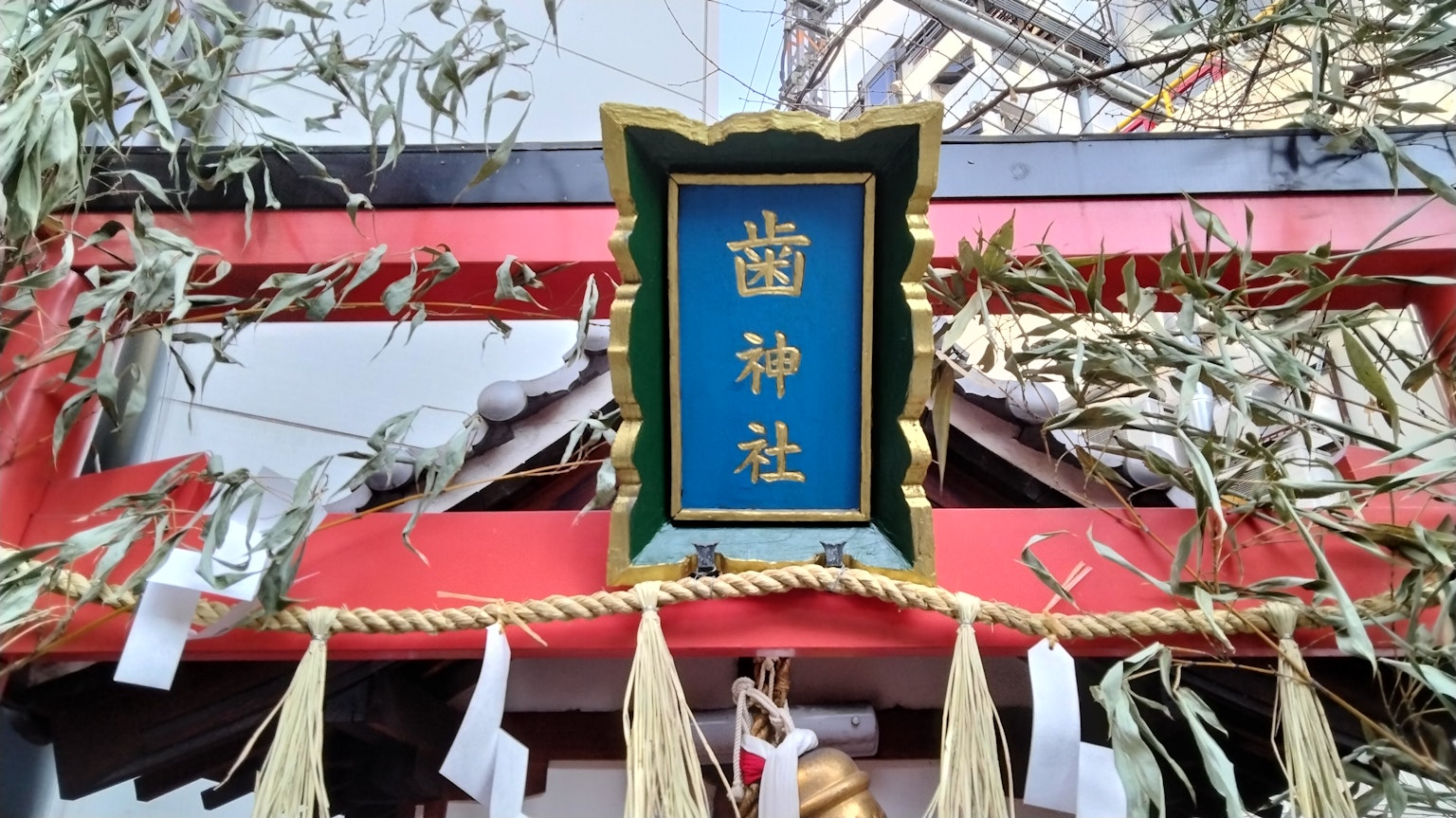 神社前的蓝色牌子，上面有金色字母，周围是竹叶