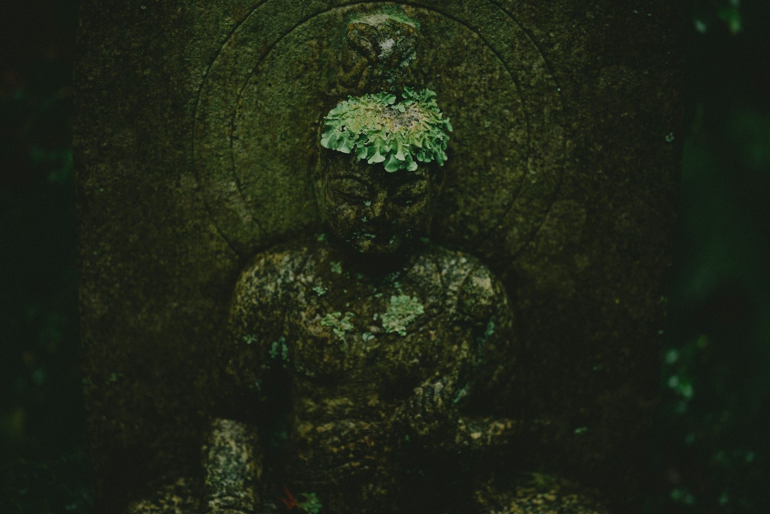 古老的佛像覆盖着绿色苔藓