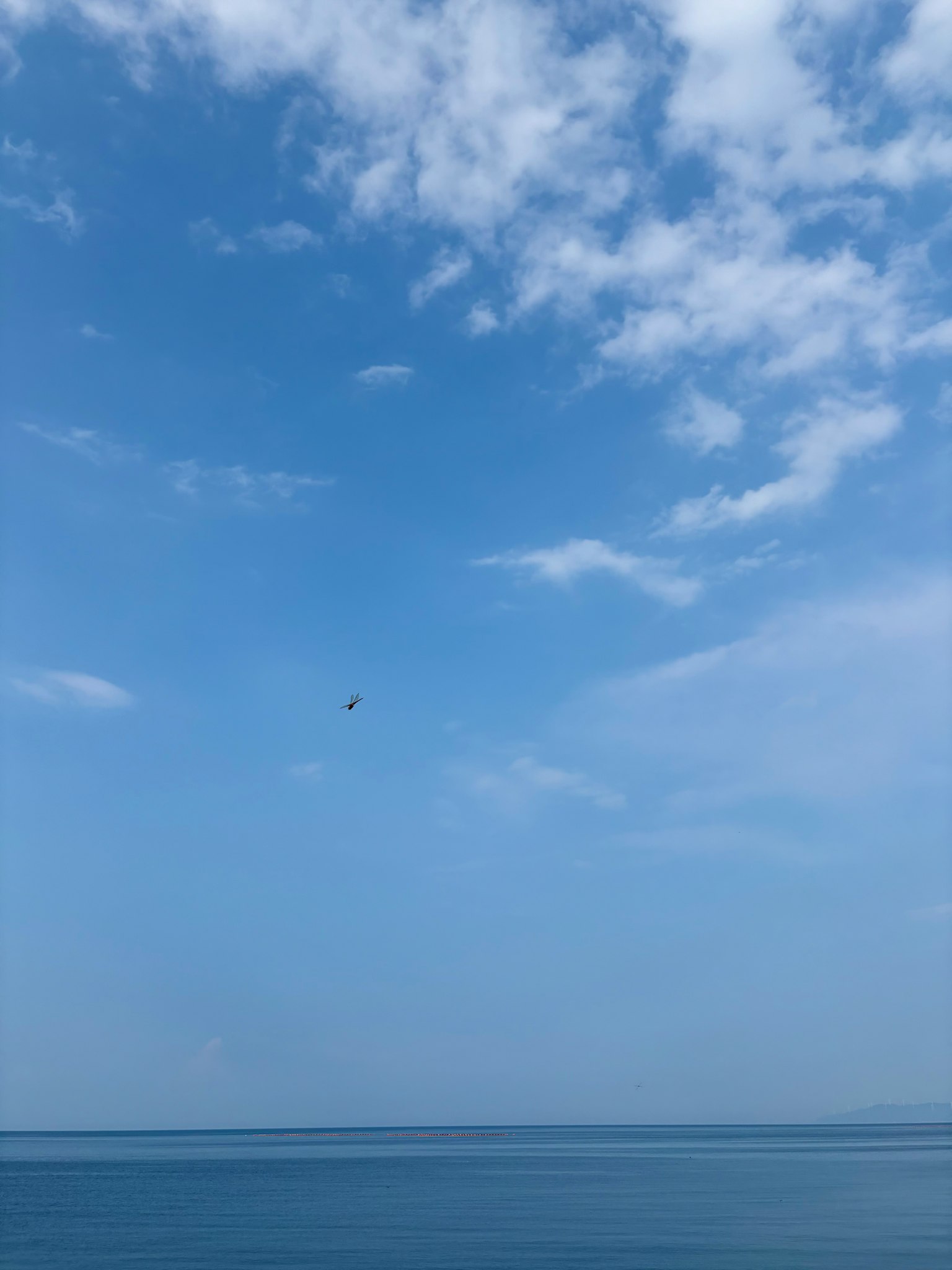 青い海と空の広がりが印象的な風景