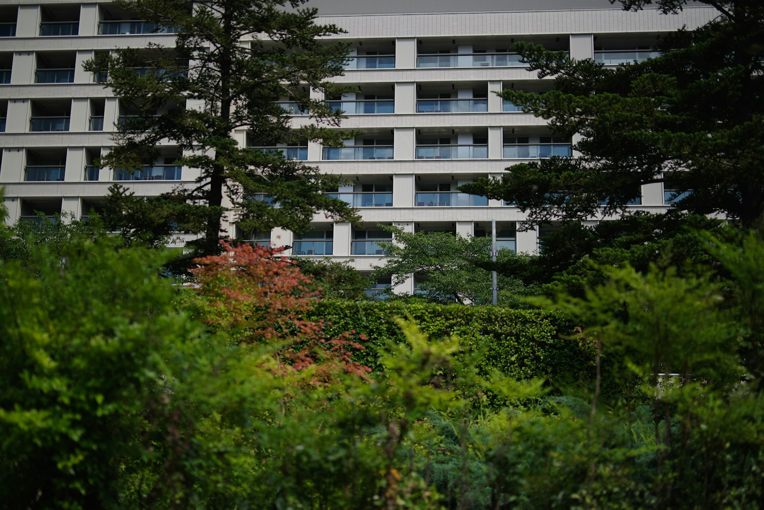 场景展示高层建筑与丰盛绿植在前景