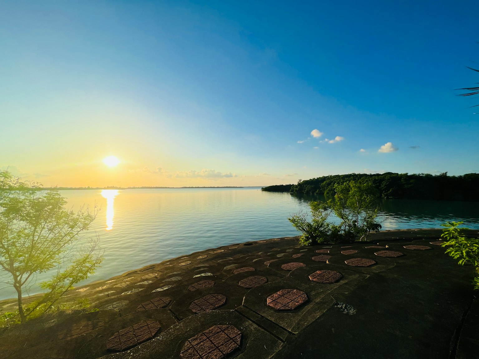Schöner Sonnenuntergang über einem See mit grünen Bäumen und ruhigem Wasser