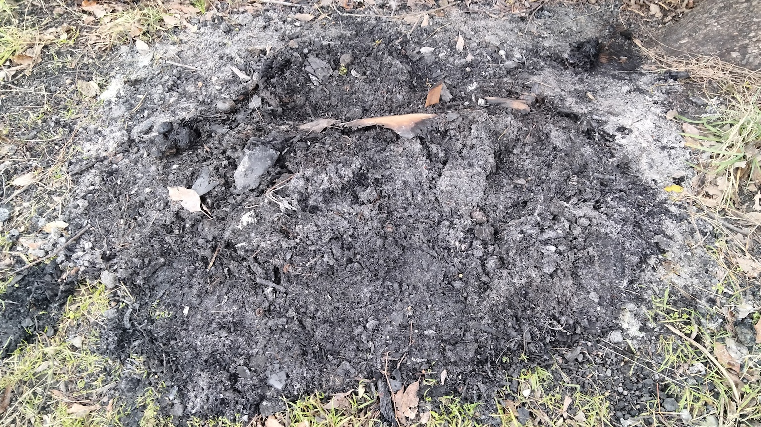 Circular patch of scorched earth with surrounding grass