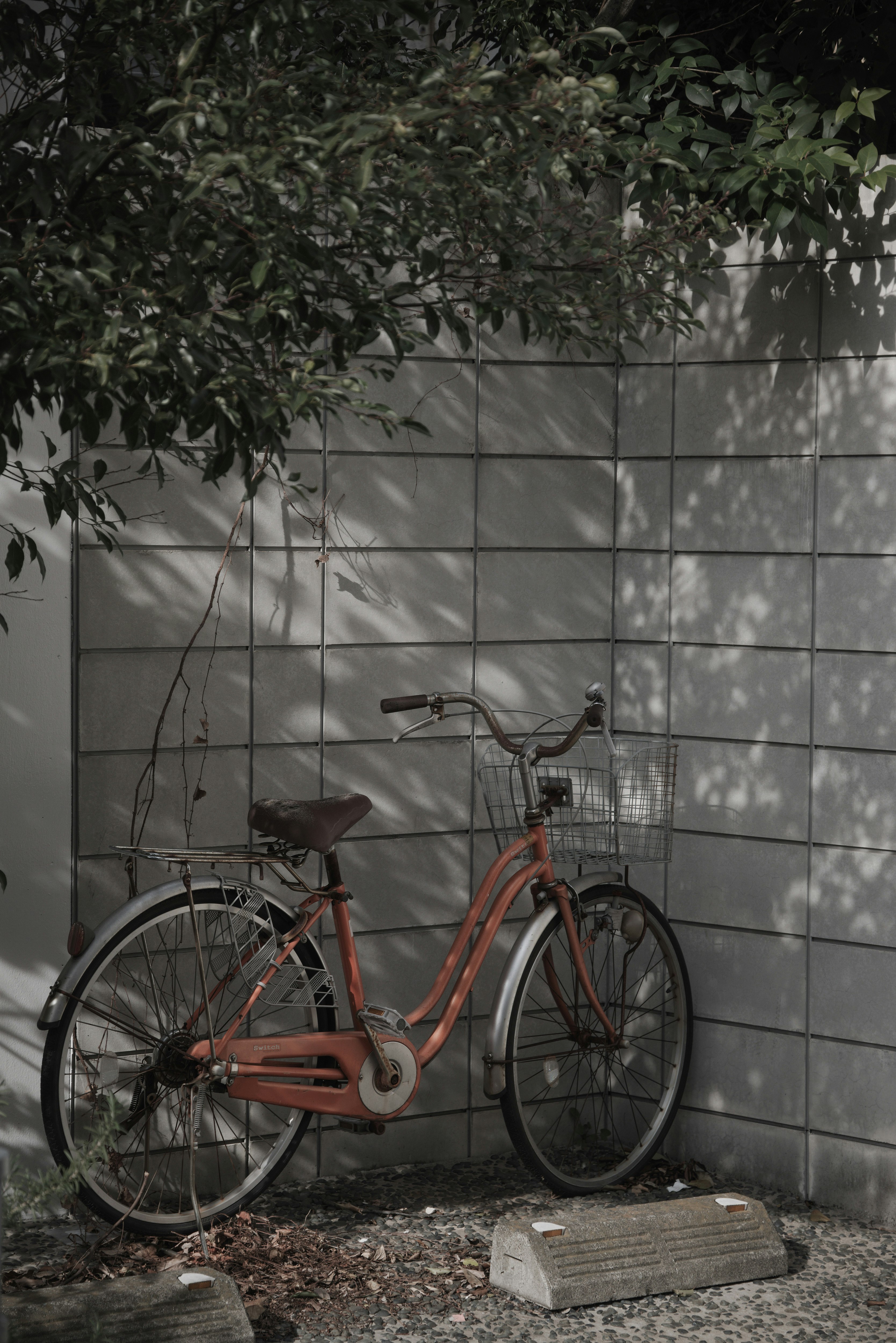 ブロック塀の前に置かれた自転車のある路地