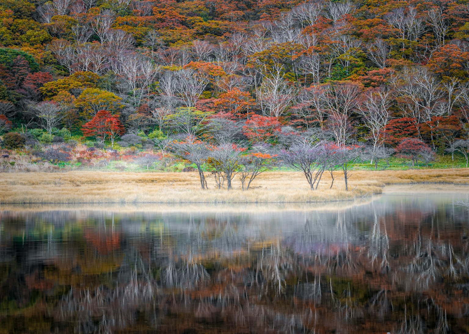 Reflection of trees on the shore of a lake surrounded by vibrant autumn foliage