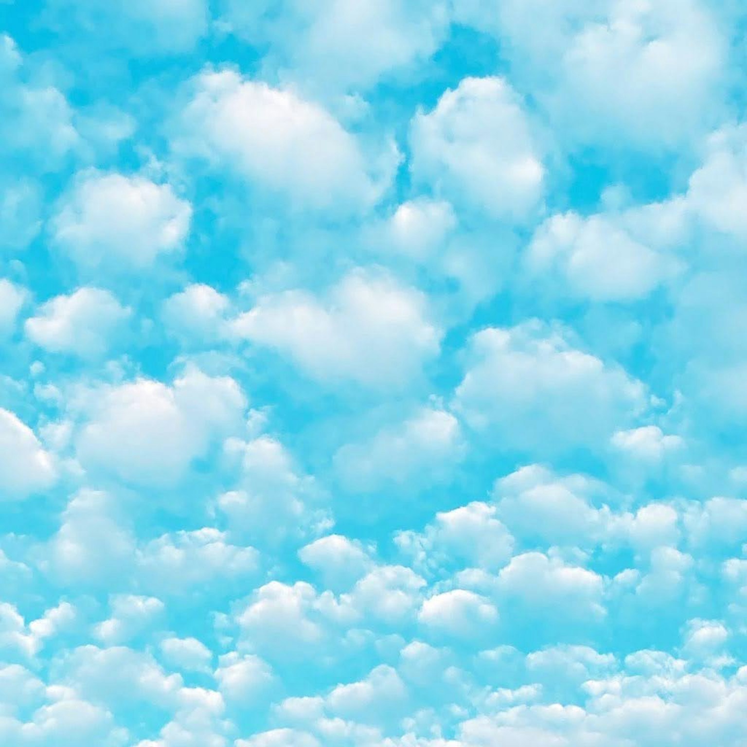 藍天上漂浮著蓬鬆的白雲
