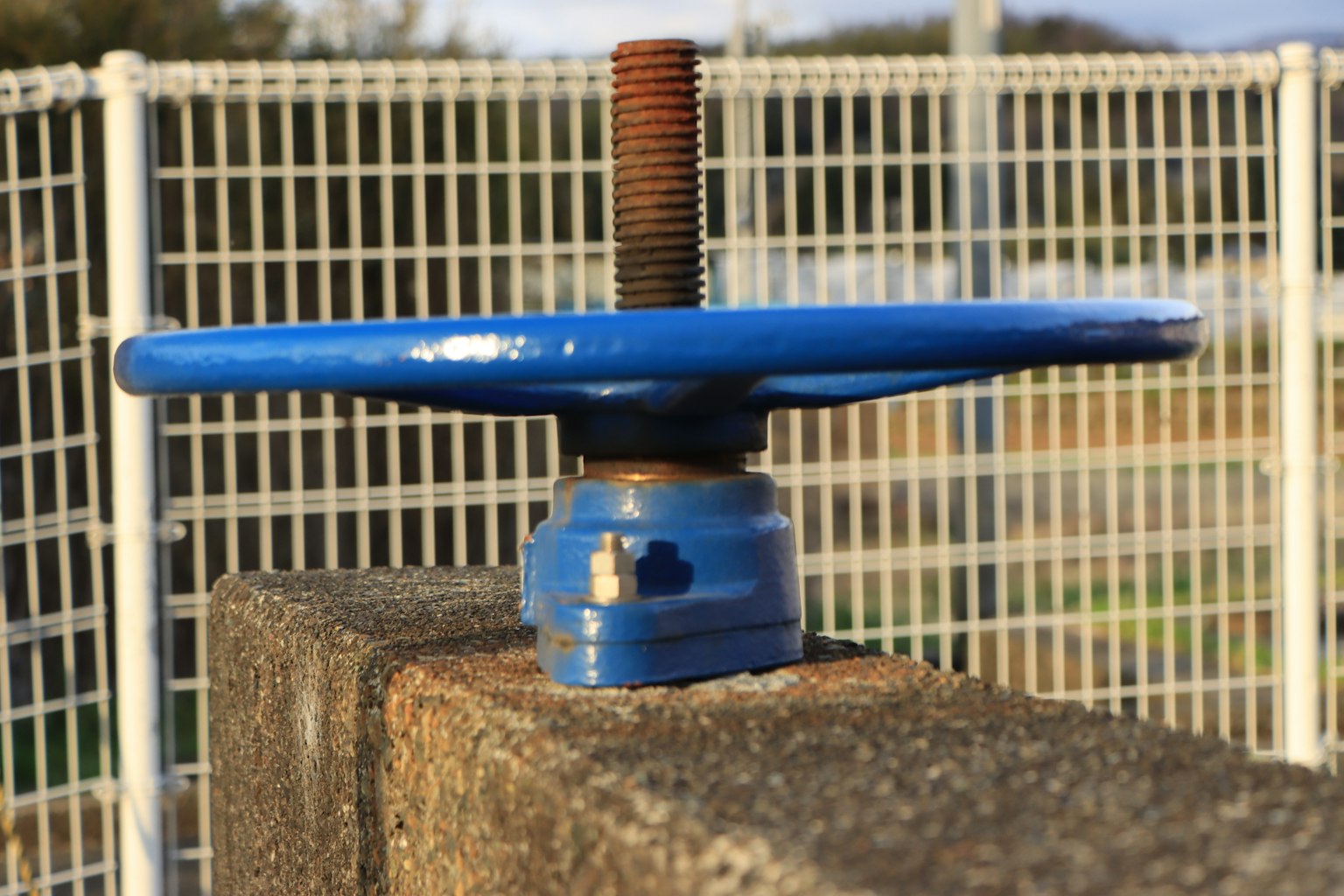 Componente de válvula de metal con mango azul