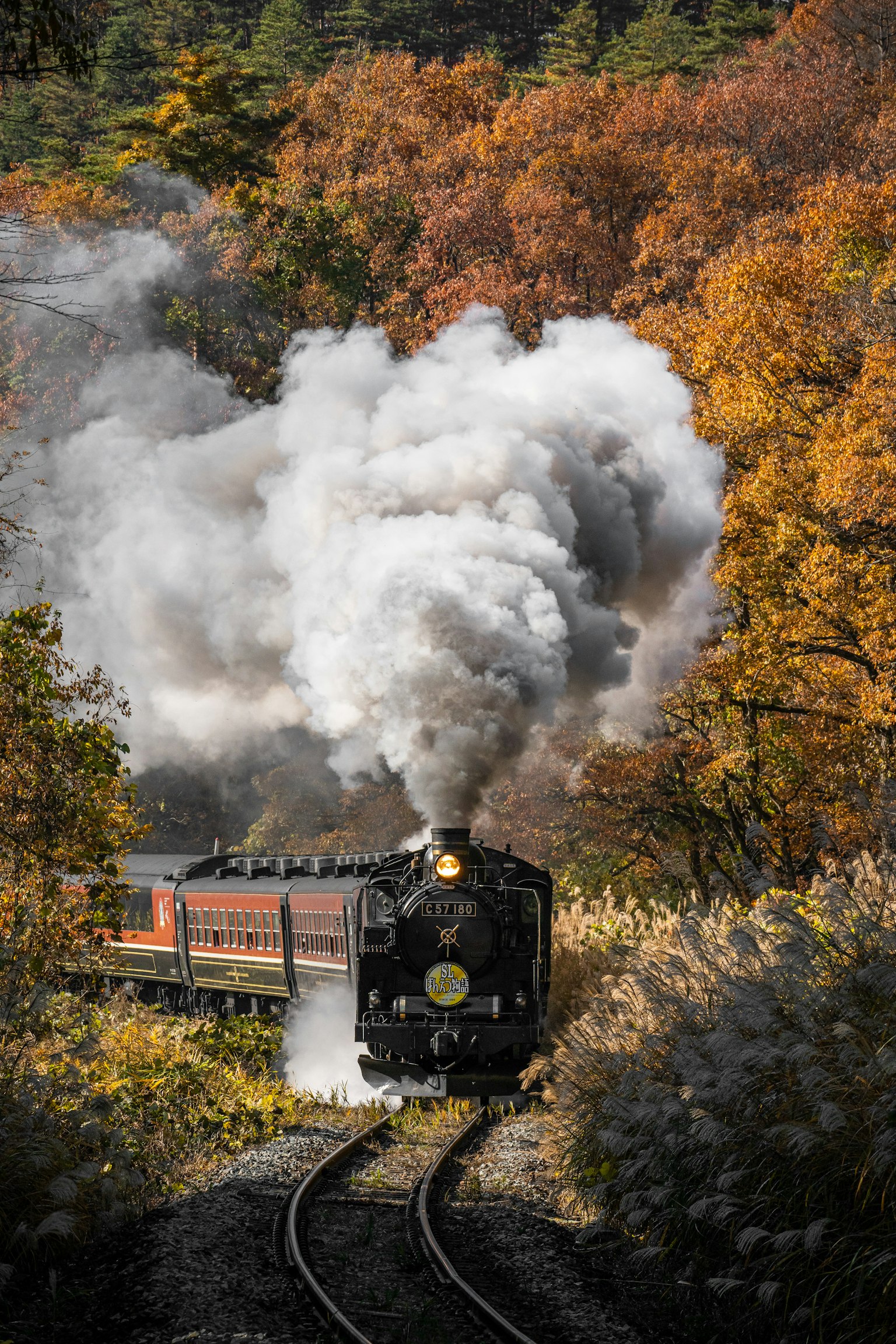 Dampflokomotive, die durch eine herbstliche Landschaft fährt