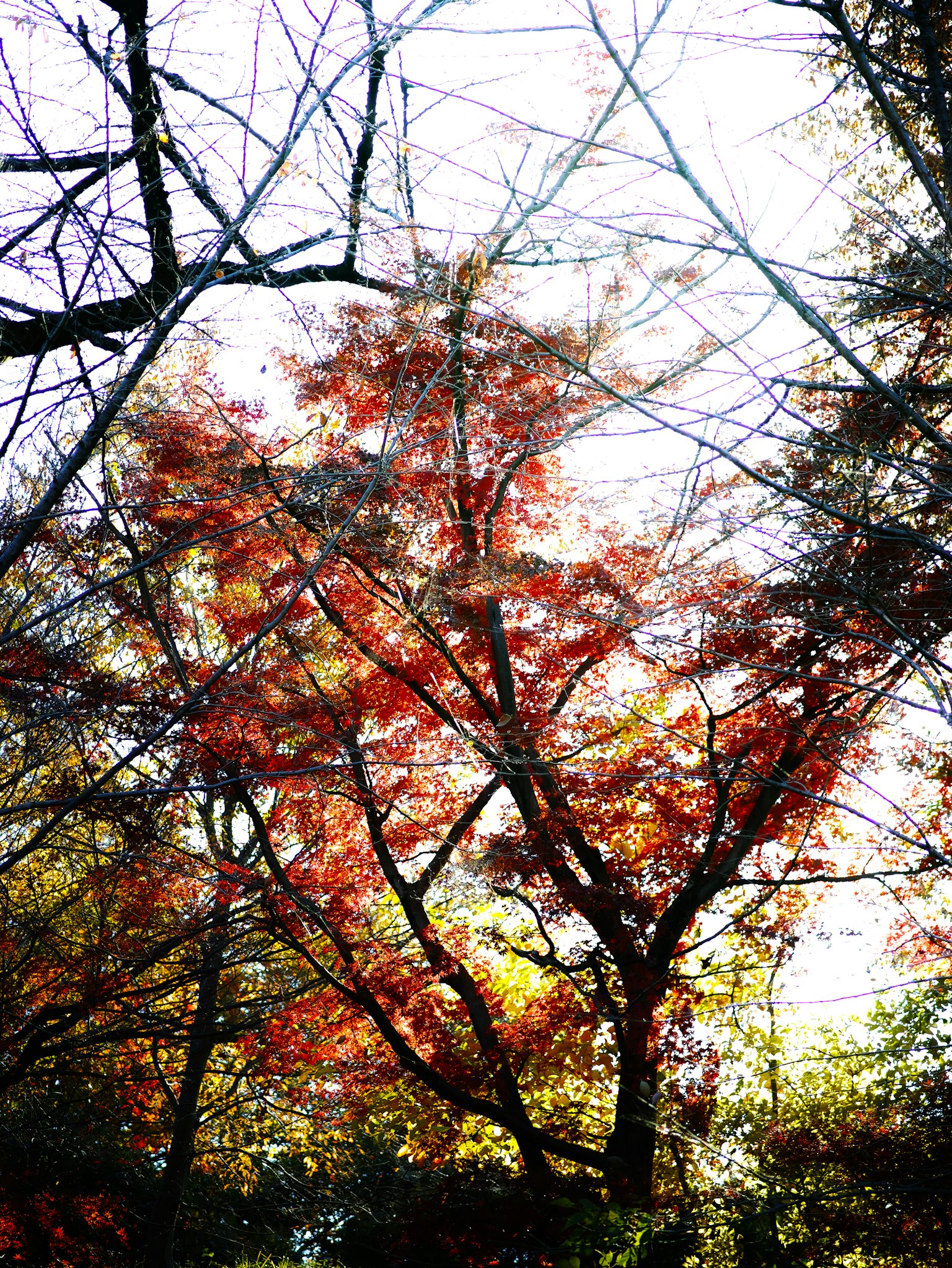 photo-yK0UviI1wtu4f9YFa6R9-image