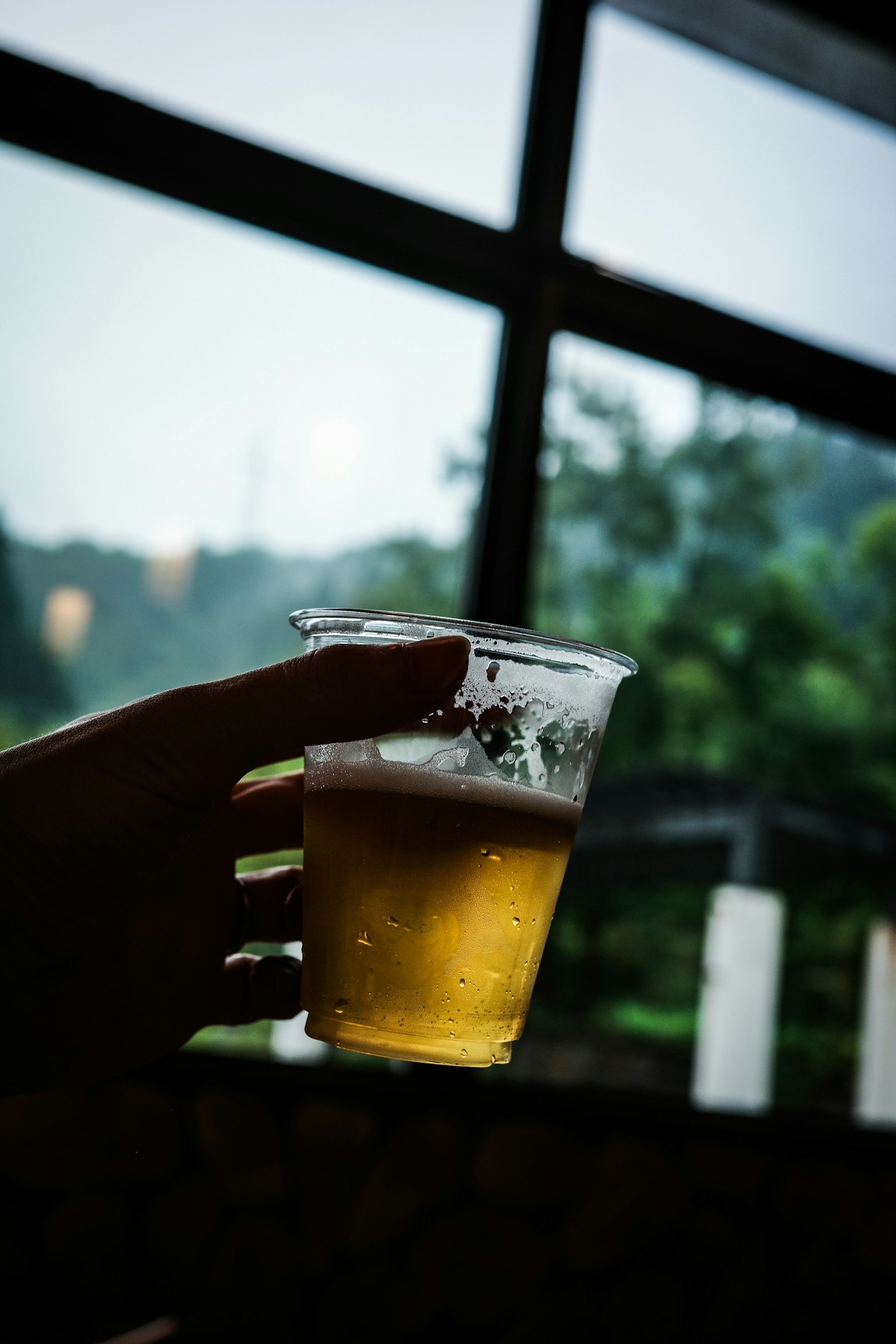 Una mano sosteniendo un vaso de cerveza con un fondo verde