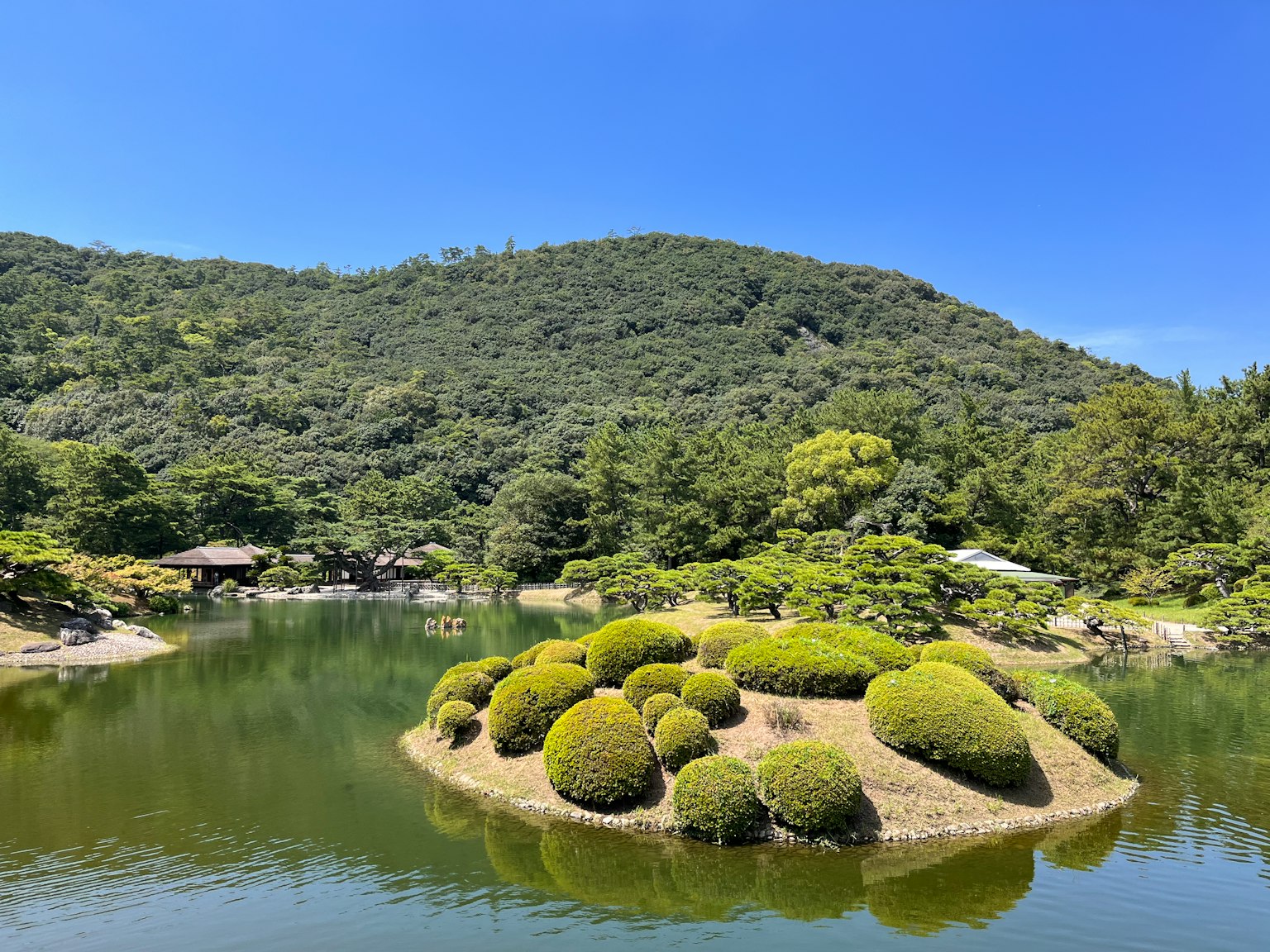 寧靜的池塘和郁郁蔥蔥的山丘背景小島上修剪整齊的灌木