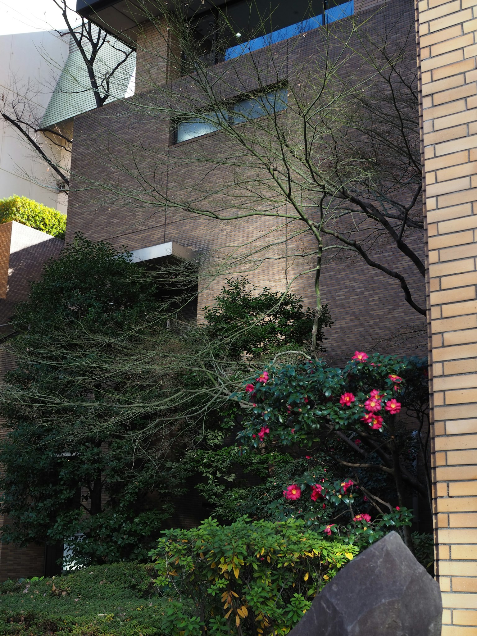 Facciata di un edificio moderno con vegetazione rigogliosa e arbusti in fiore