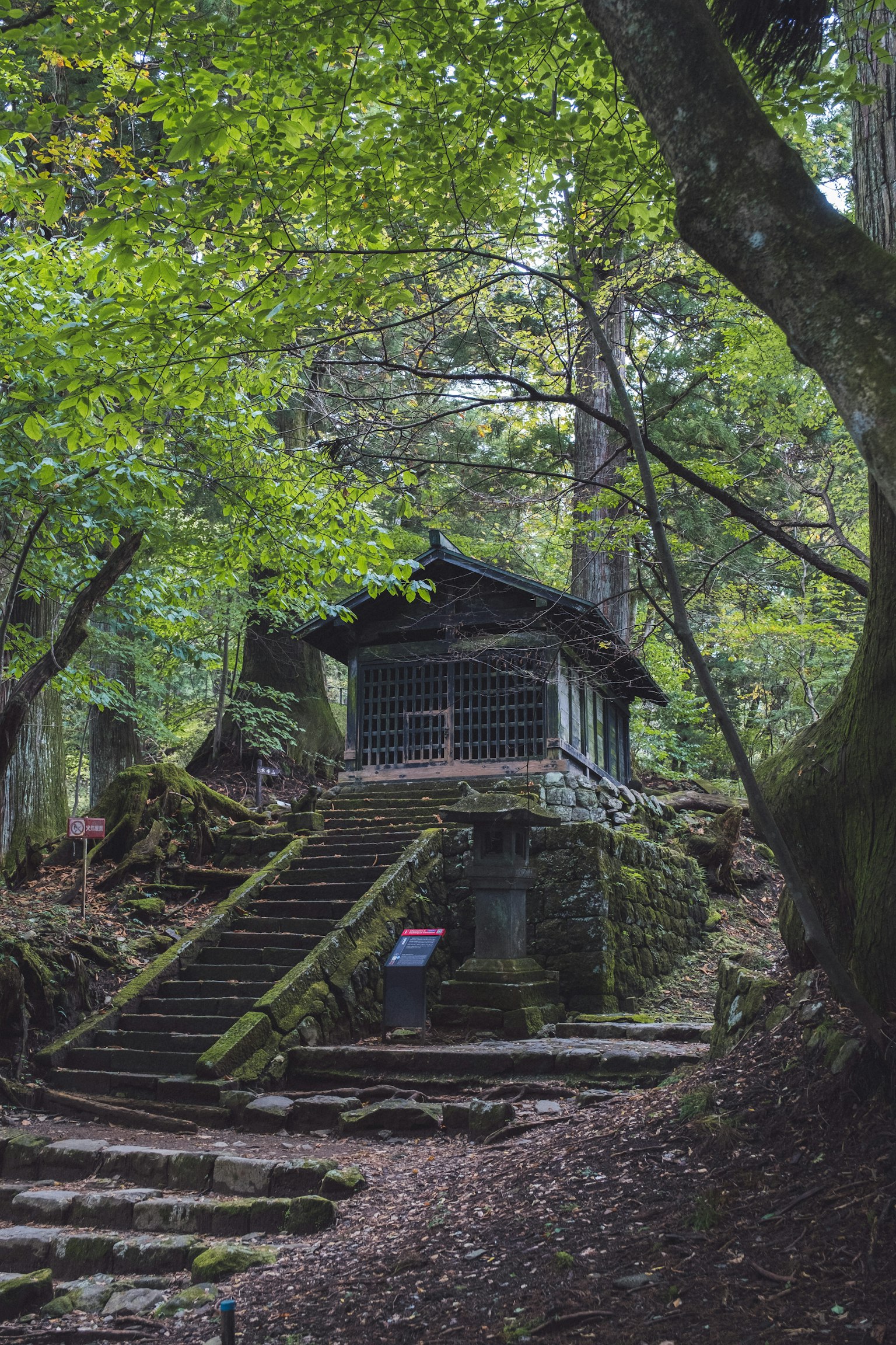 一座古老的神社式建築，周圍環繞著郁鬱蔥蔥的綠意和階梯