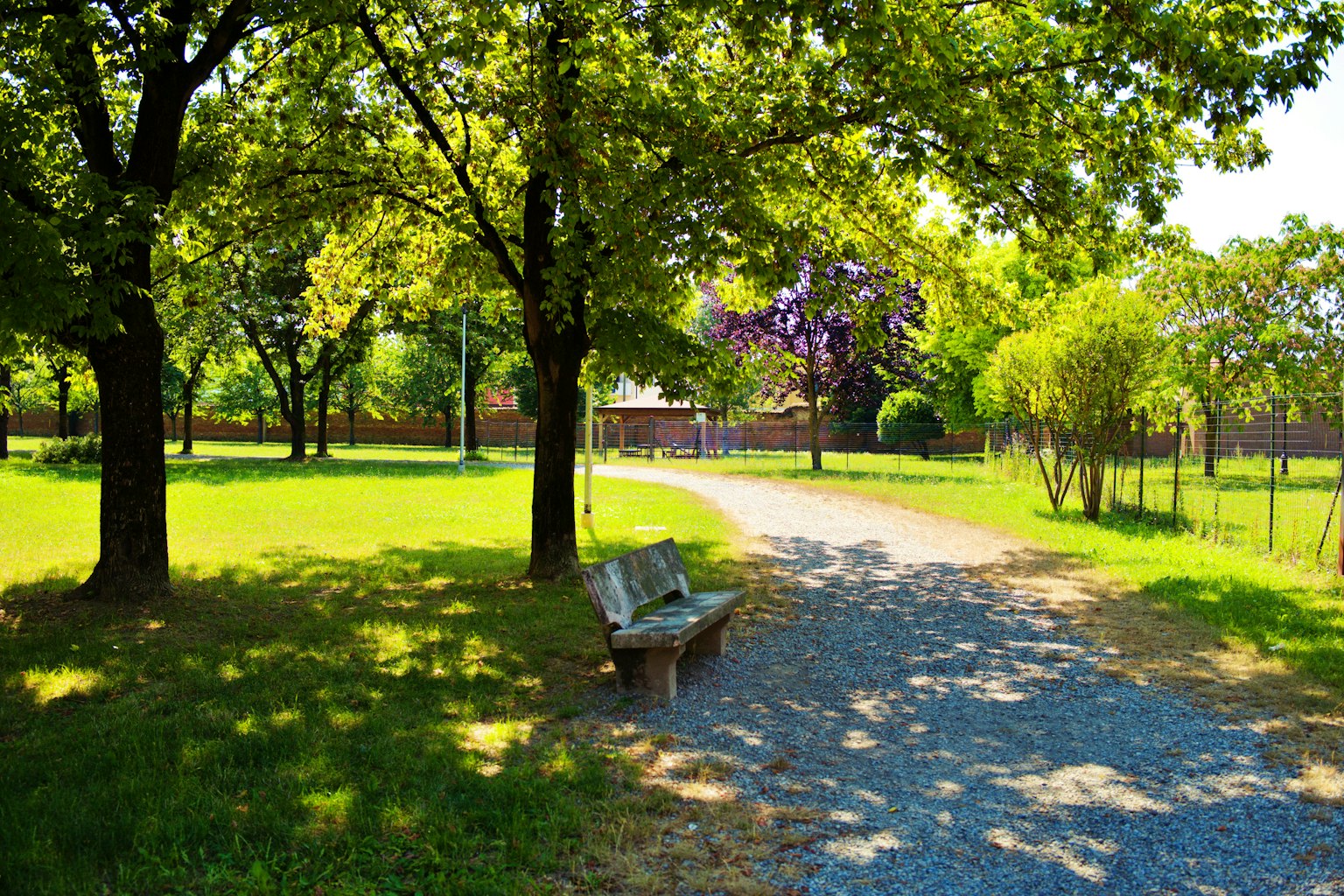 Sentiero panoramico in un parco con una panchina e alberi lussureggianti