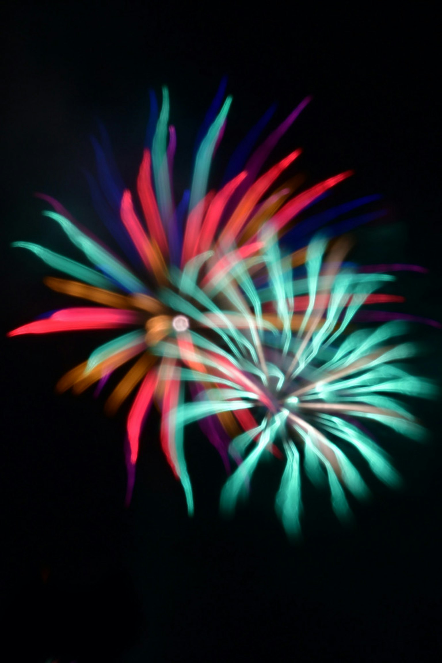 Colorful fireworks bursting in the night sky