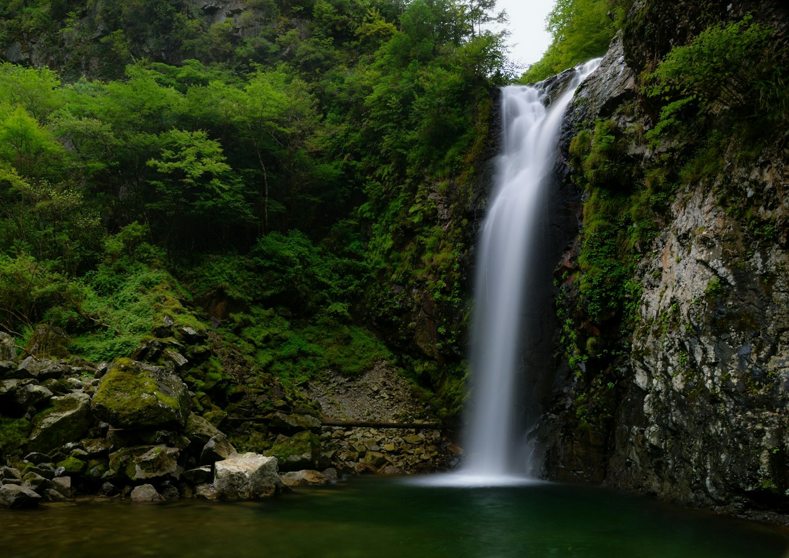 Bellissima cascata circondata da una vegetazione lussureggiante