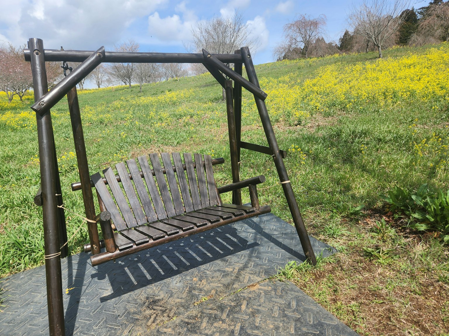 Columpio de madera en pasto verde con un campo de flores amarillas