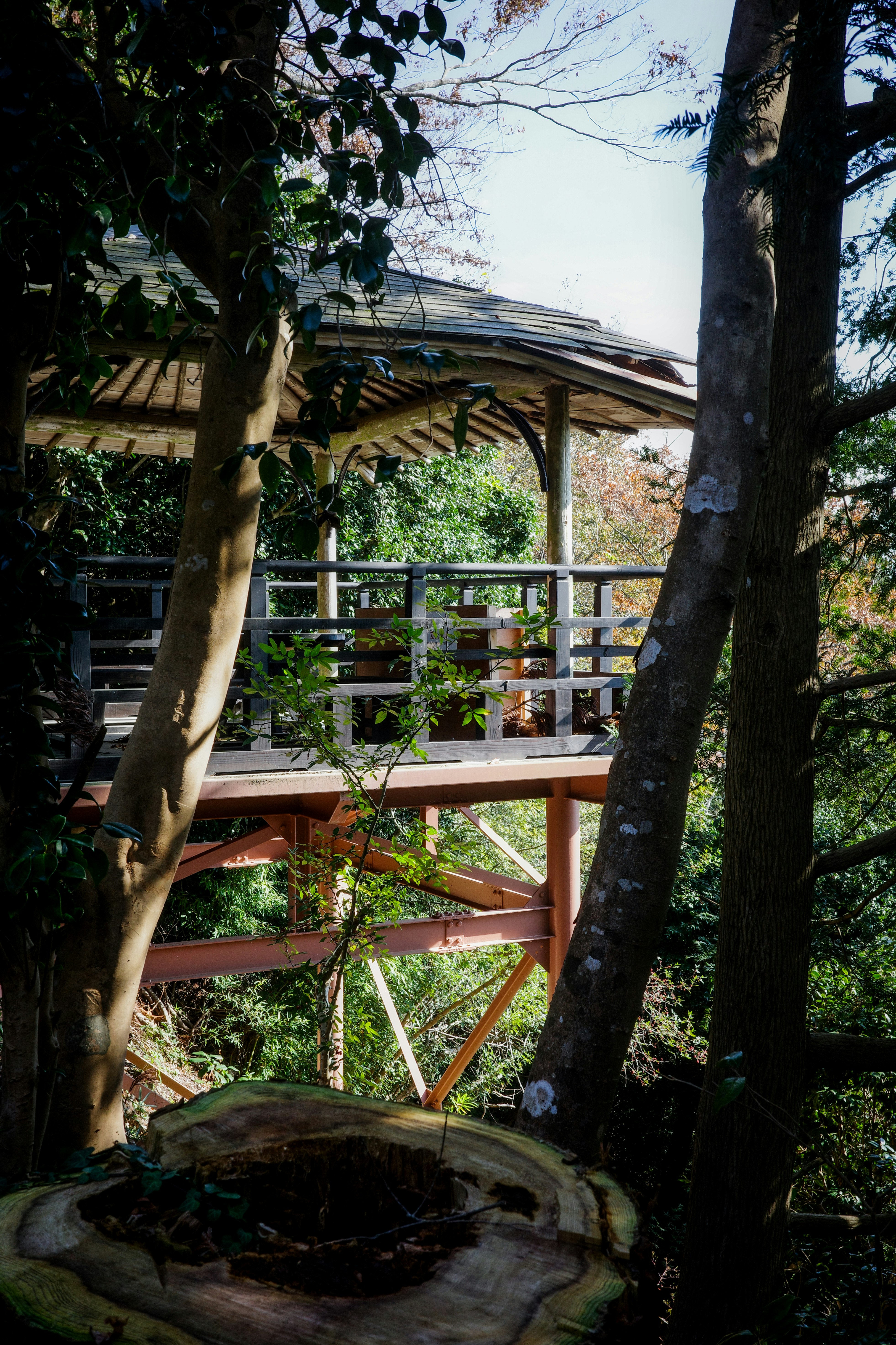 wooden viewing deck with railings in a forest