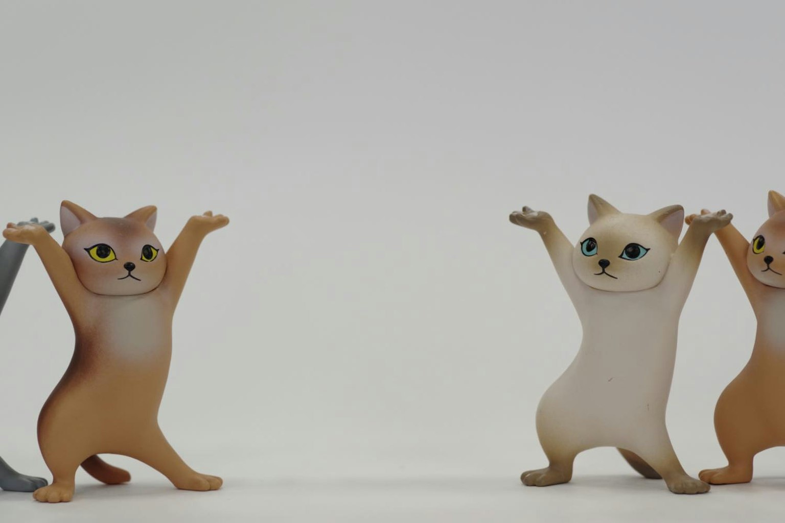 Figurina kucing lucu berdiri di kedua sisi