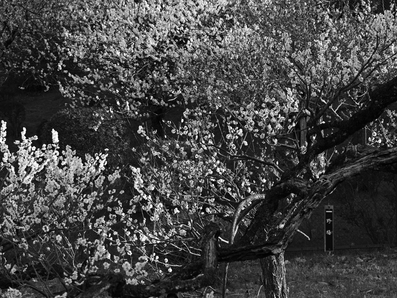 photo-yMUEQibdhcnvRXzR3QnD-image