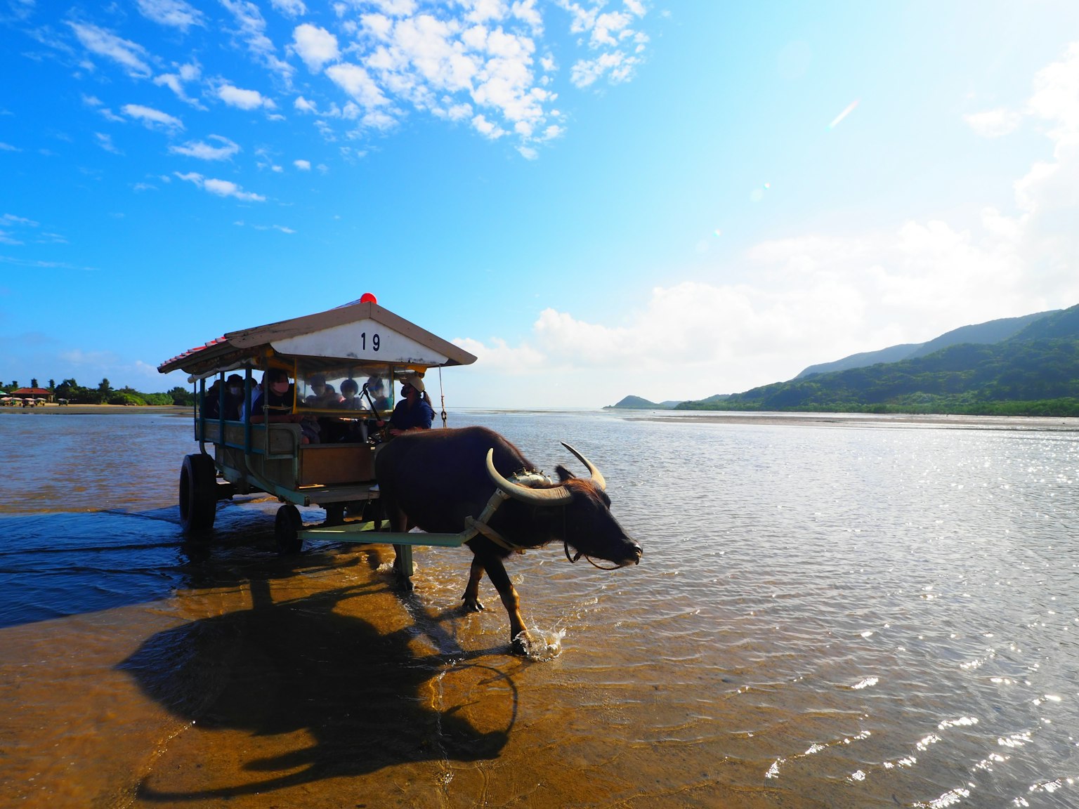 Vista pittoresca di un corso d'acqua con un carretto trainato da una mucca e passeggeri sotto un tetto di paglia