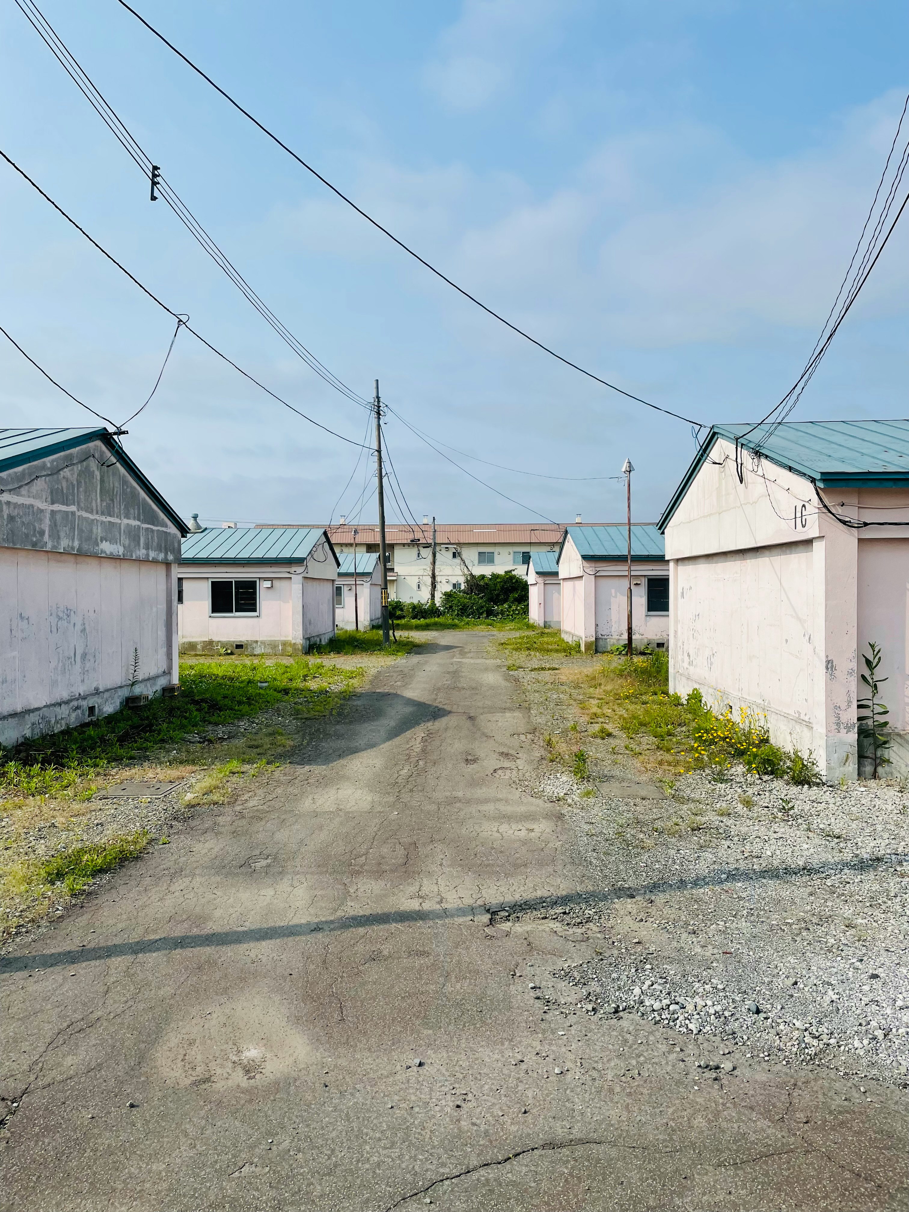 使われなくなった町営住宅の小道の風景