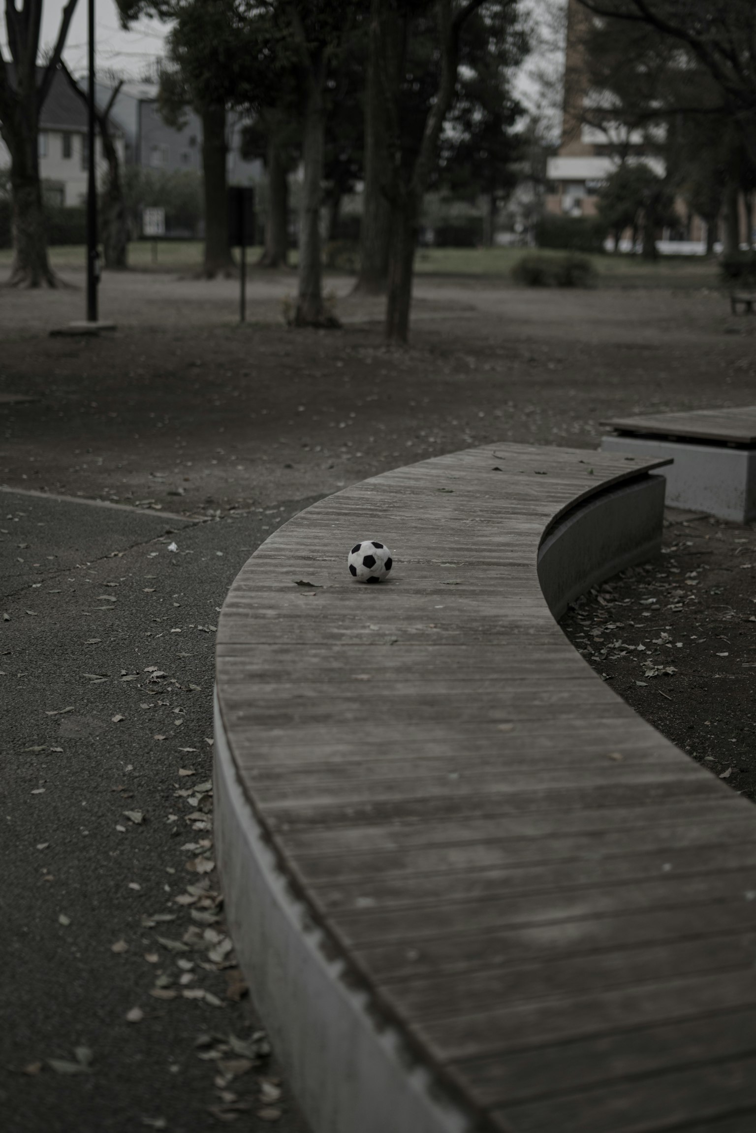 Ein Fußball auf einer Holzbank in einem Park mit verstreuten Blättern