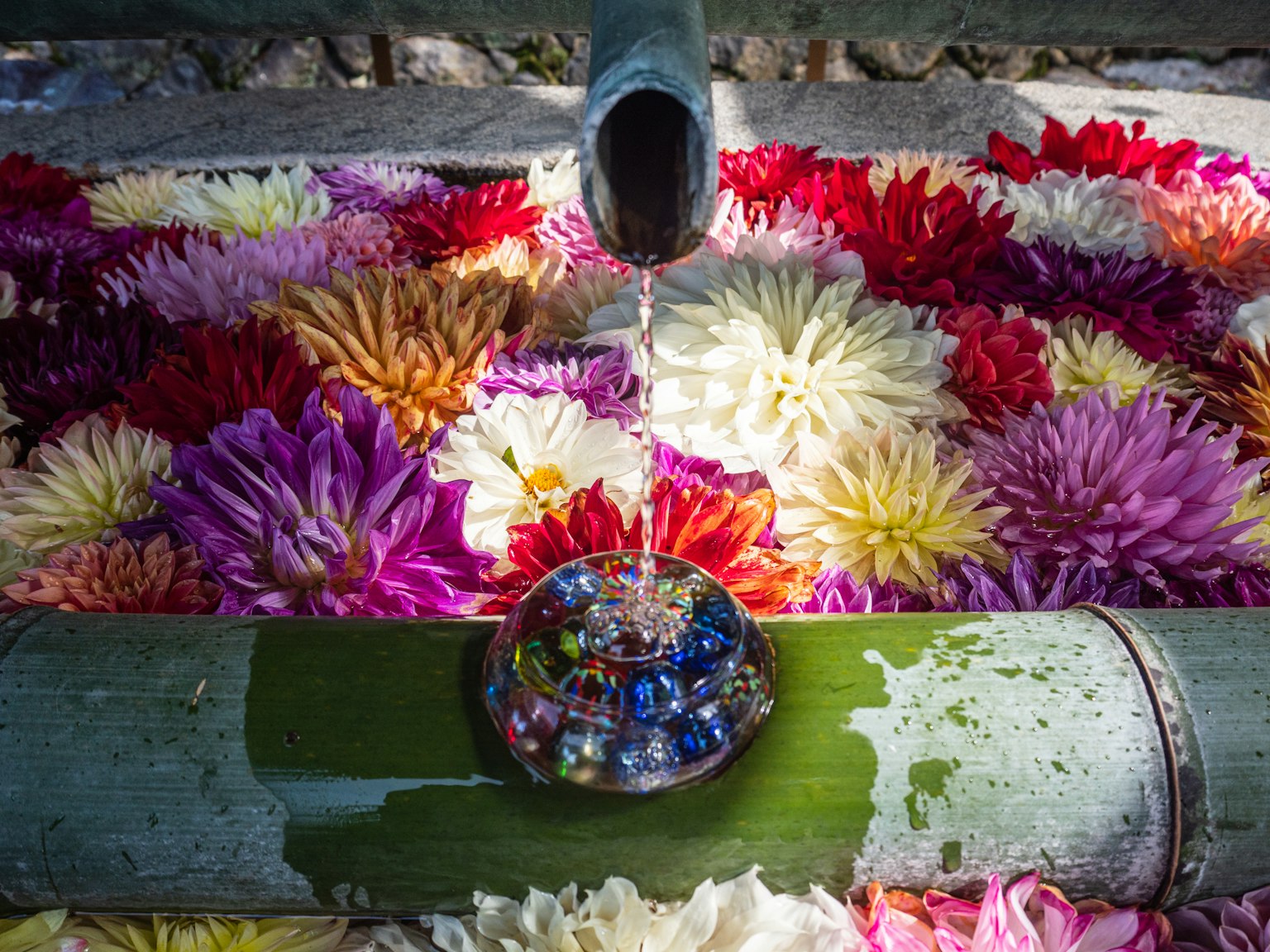 Petals bunga berwarna-warni mengapung di atas air dengan aliran air bambu