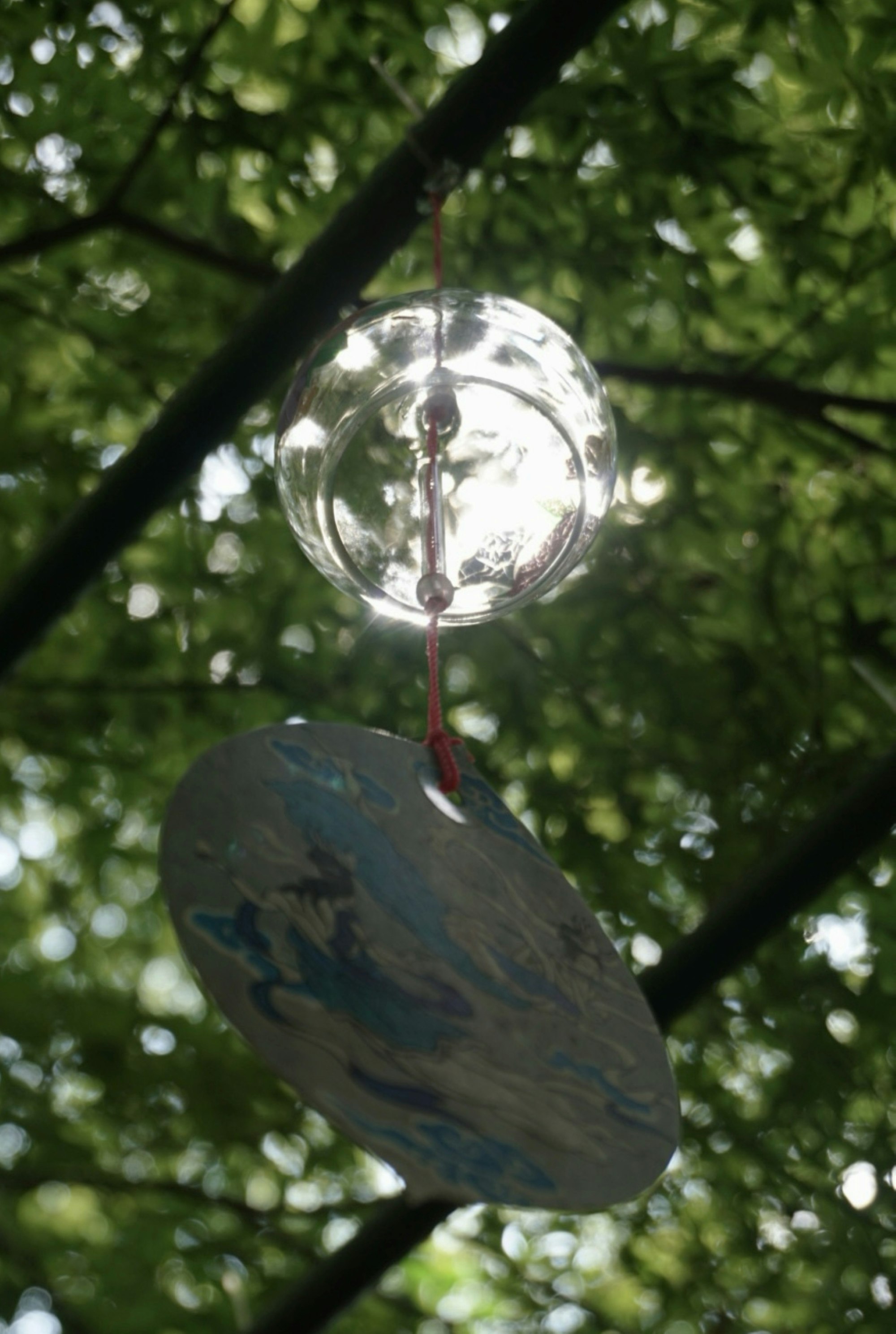 木の枝に揺れるガラスの風鈴と葉の光と影