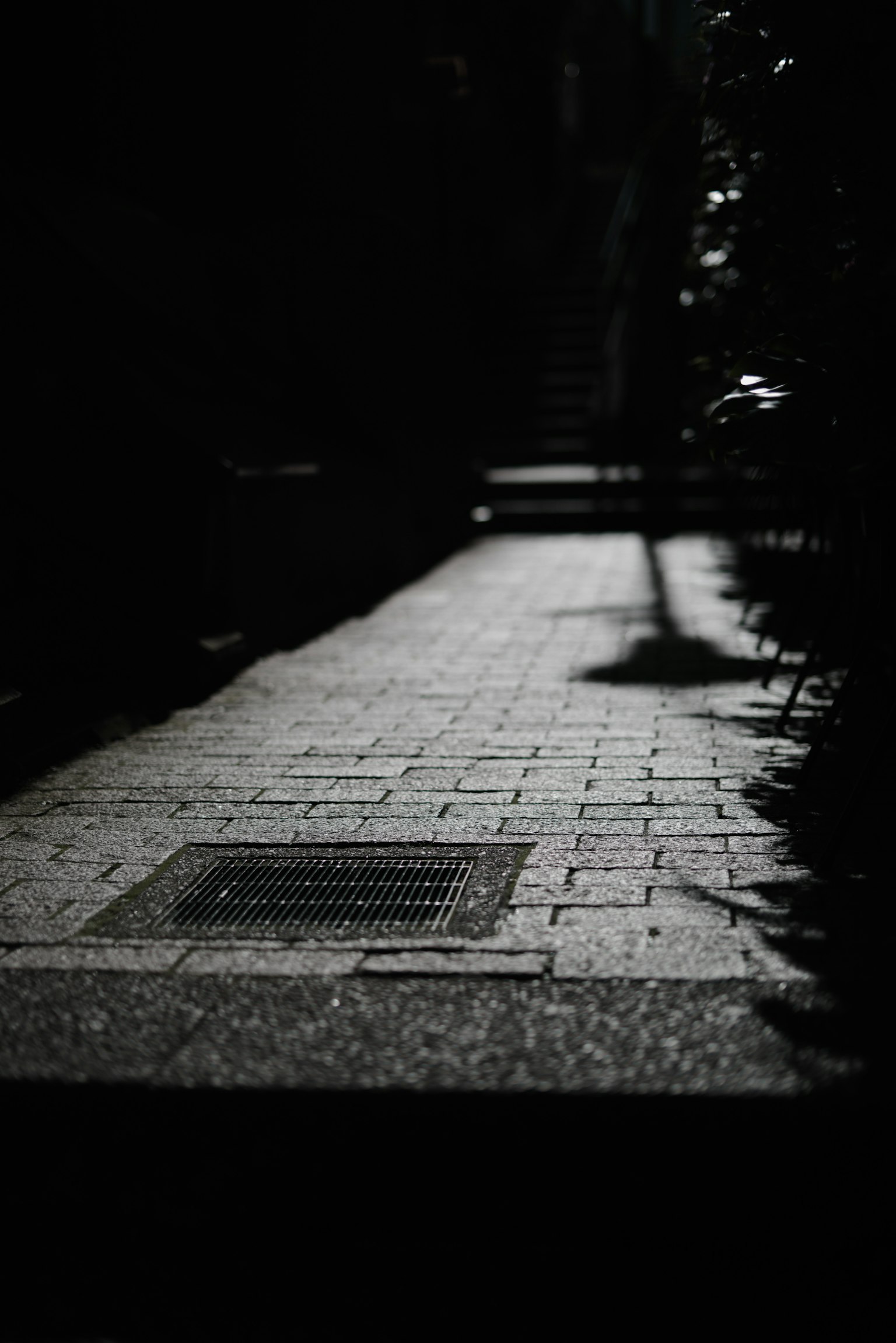 photo-yPW22PXZk7XudNW5F7j7-image