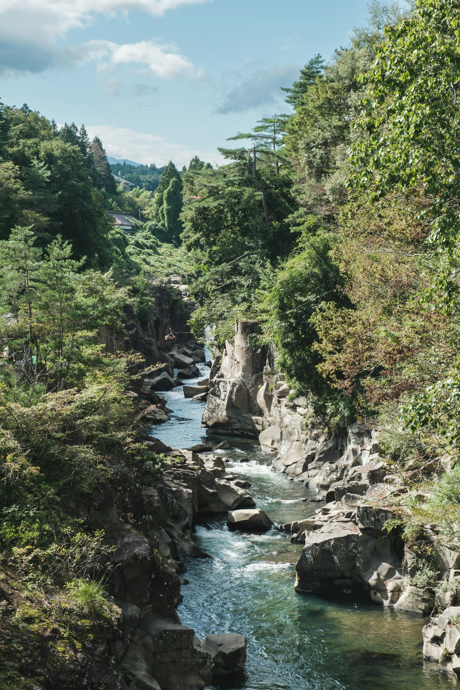被郁郁蔥蔥的綠樹和流淌的河流環繞的岩石峽谷的風景