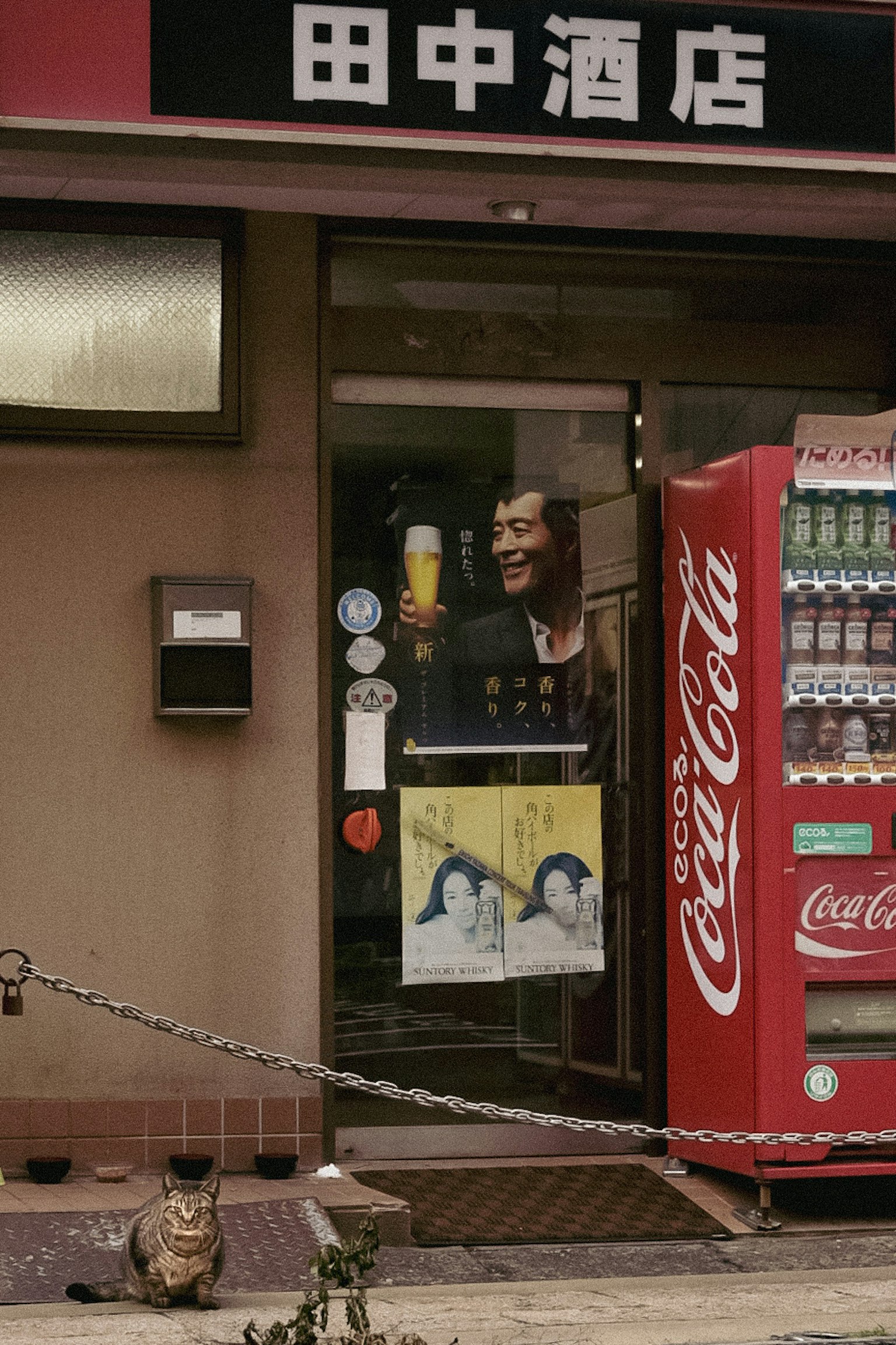 Entrée d'une boutique de saké avec un distributeur automatique et un chat