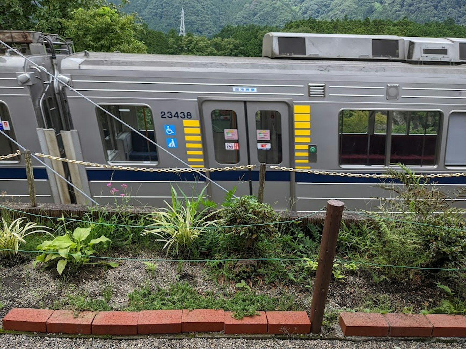 Treno argentato parcheggiato con sfondo verde e piante