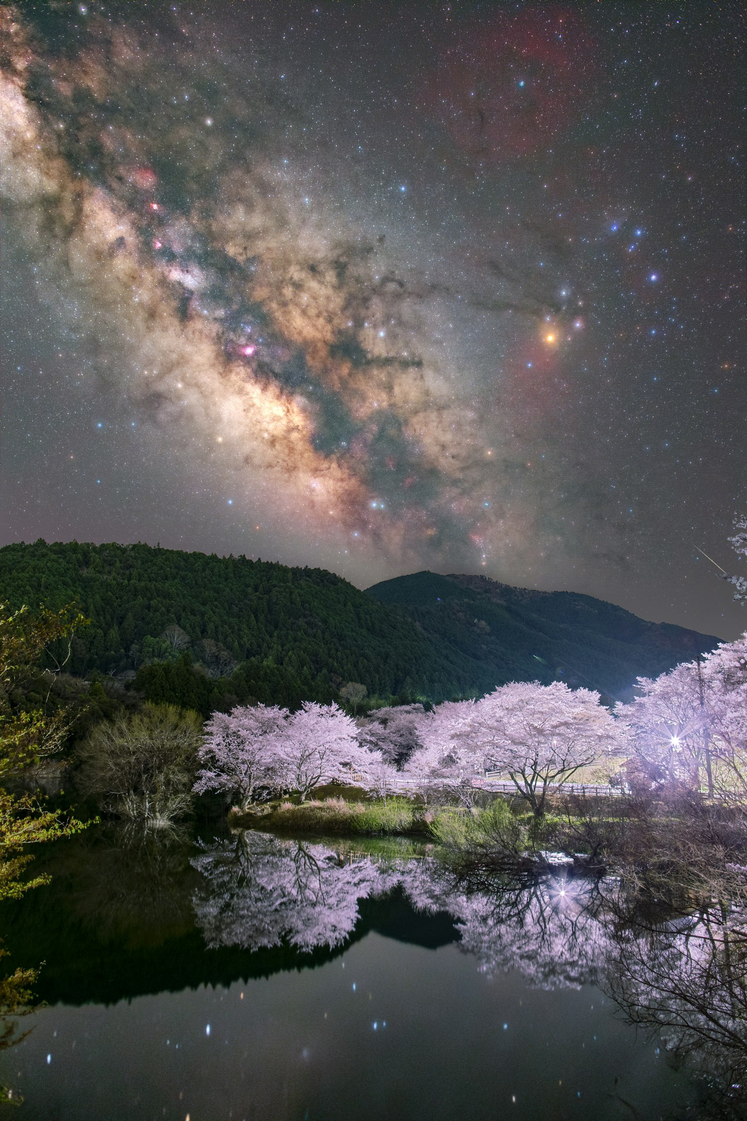 벚꽃 나무와 반사되는 연못 위의 아름다운 은하 밤하늘