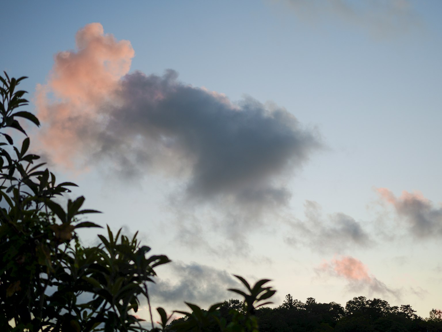 藍天中的雲和綠色葉子