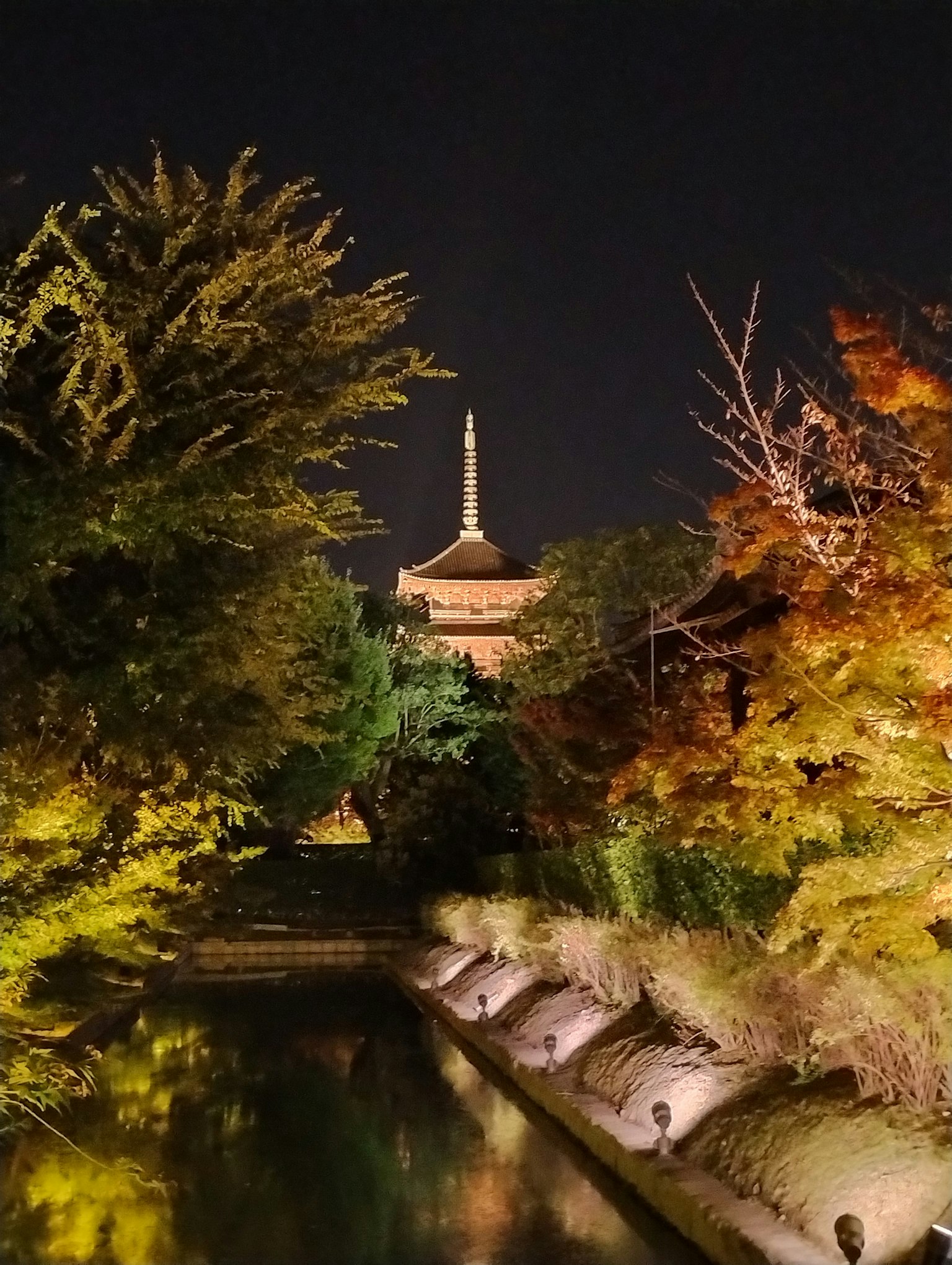Bellissimo scenario notturno del parco con alberi colorati che si riflettono nello stagno e una torre sullo sfondo