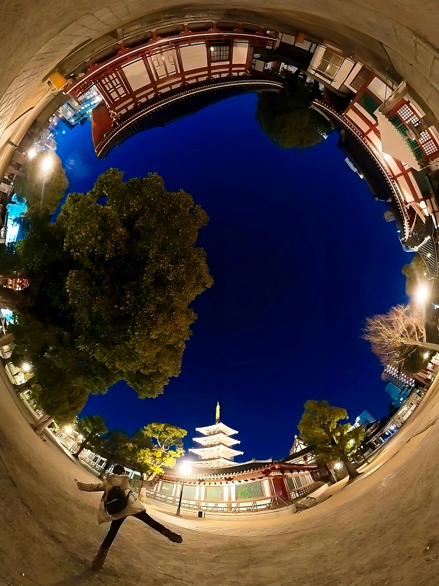 Pagoda di bawah langit malam dikelilingi pohon dan bangunan