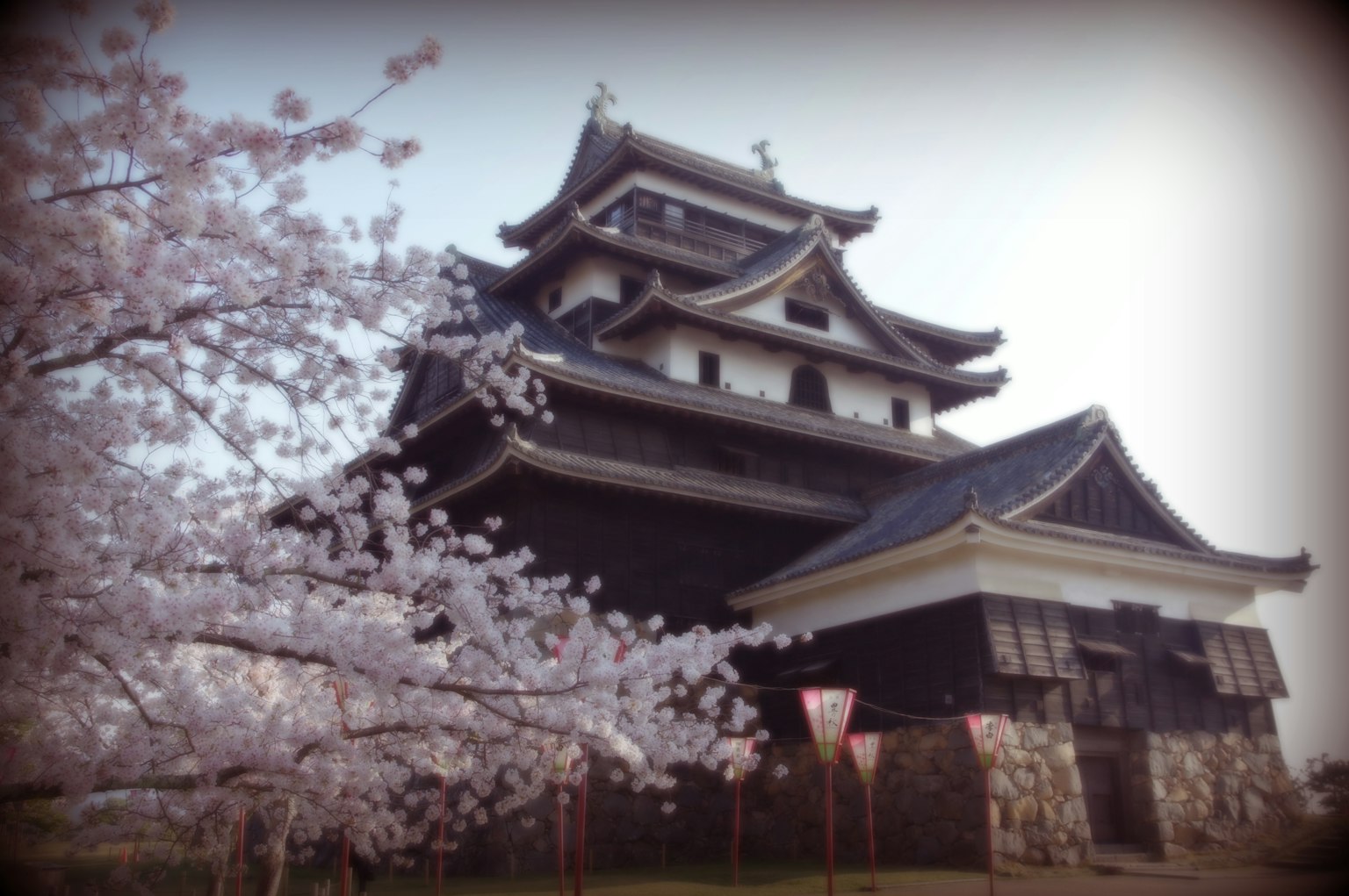 Castillo japonés tradicional frente a cerezos en flor
