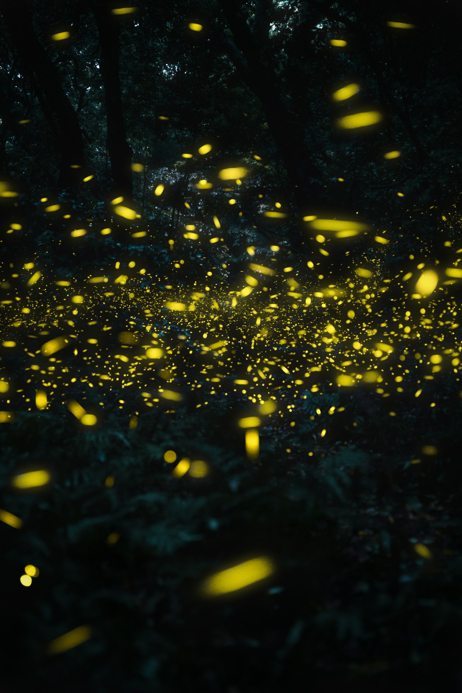 photo-yRuMppTxN8ABqPmFKG65-image